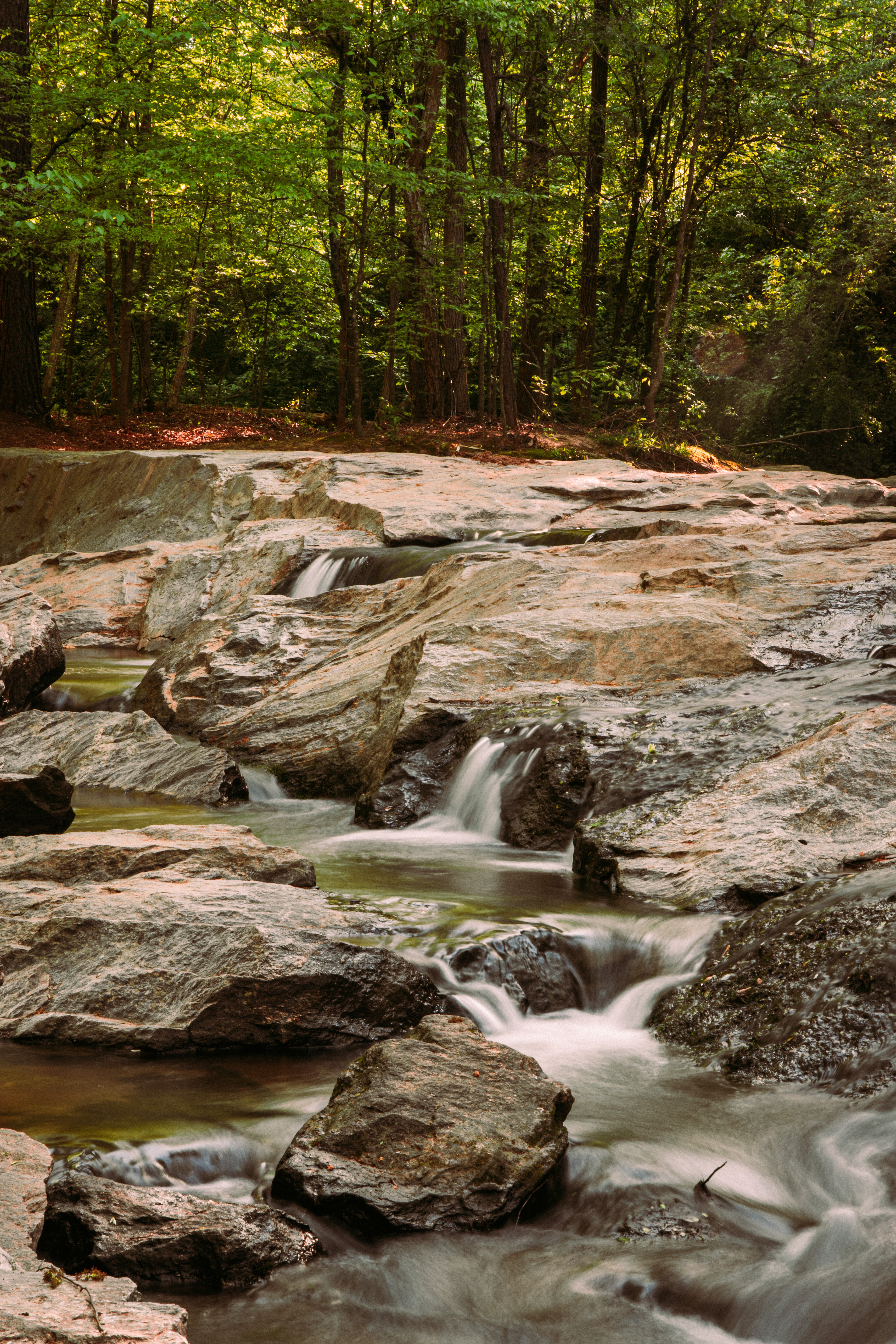 Ben Burton Park April 2021   I