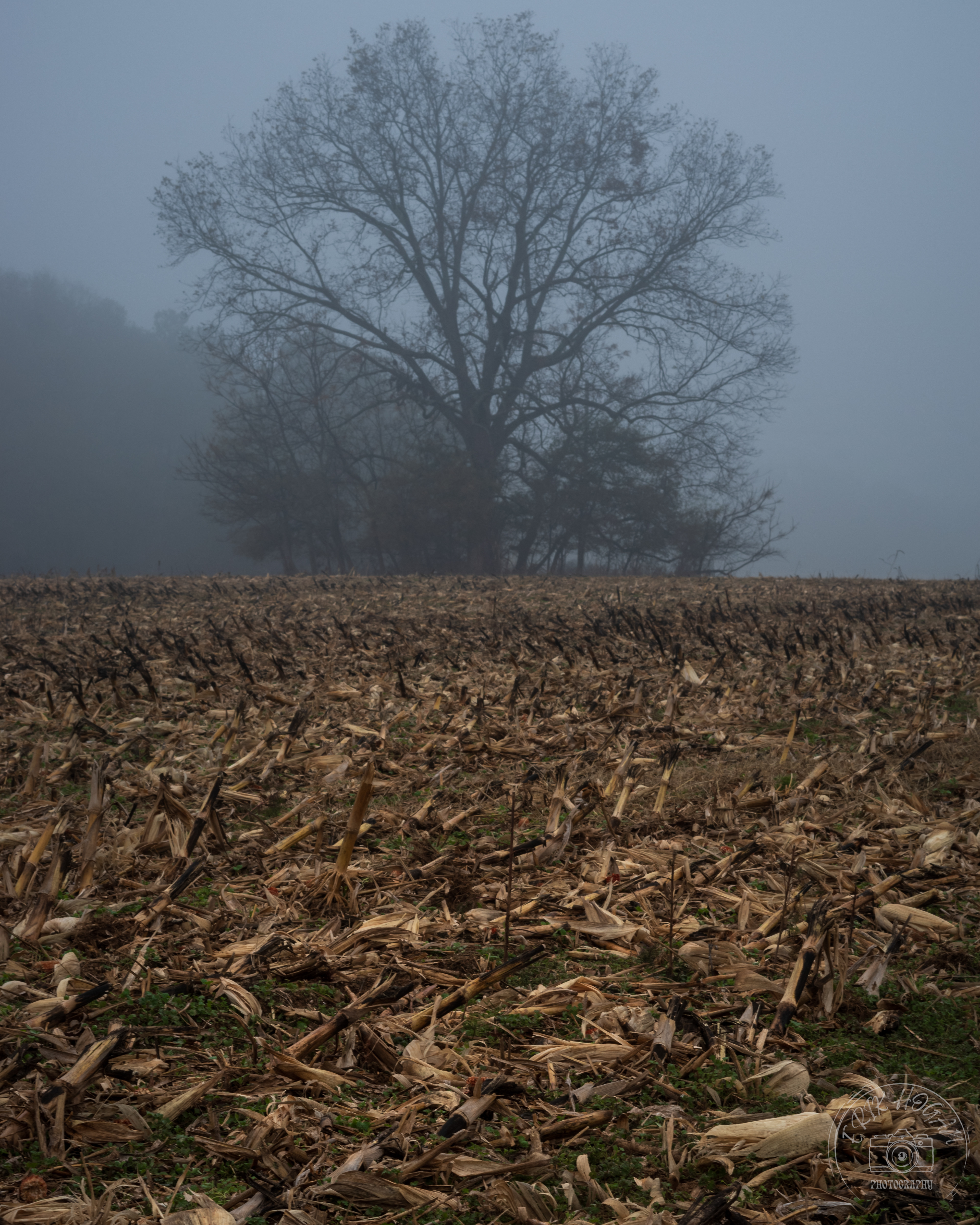 Athens Fog December 2023   II
