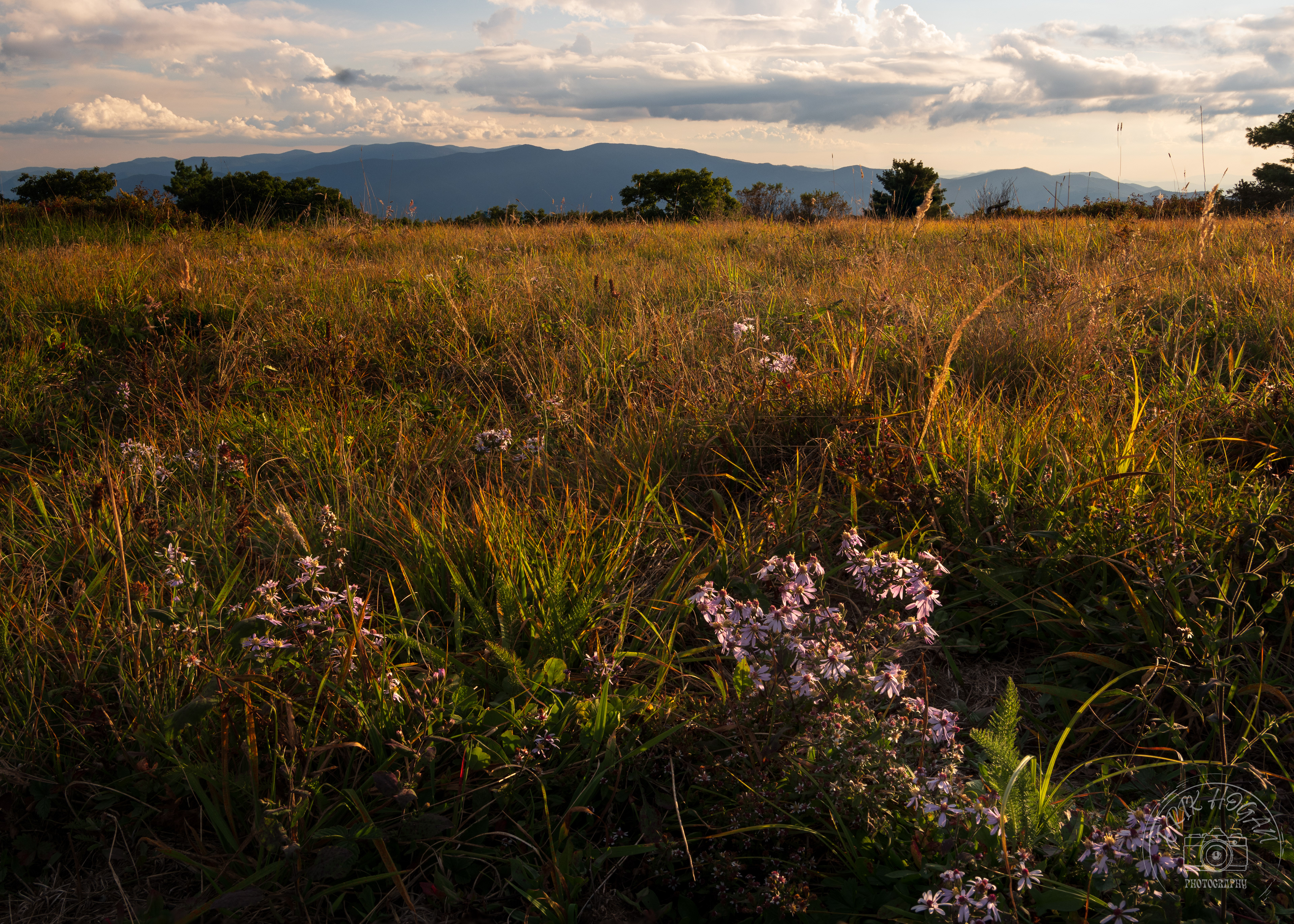 Gregory Bald September 2023   IV