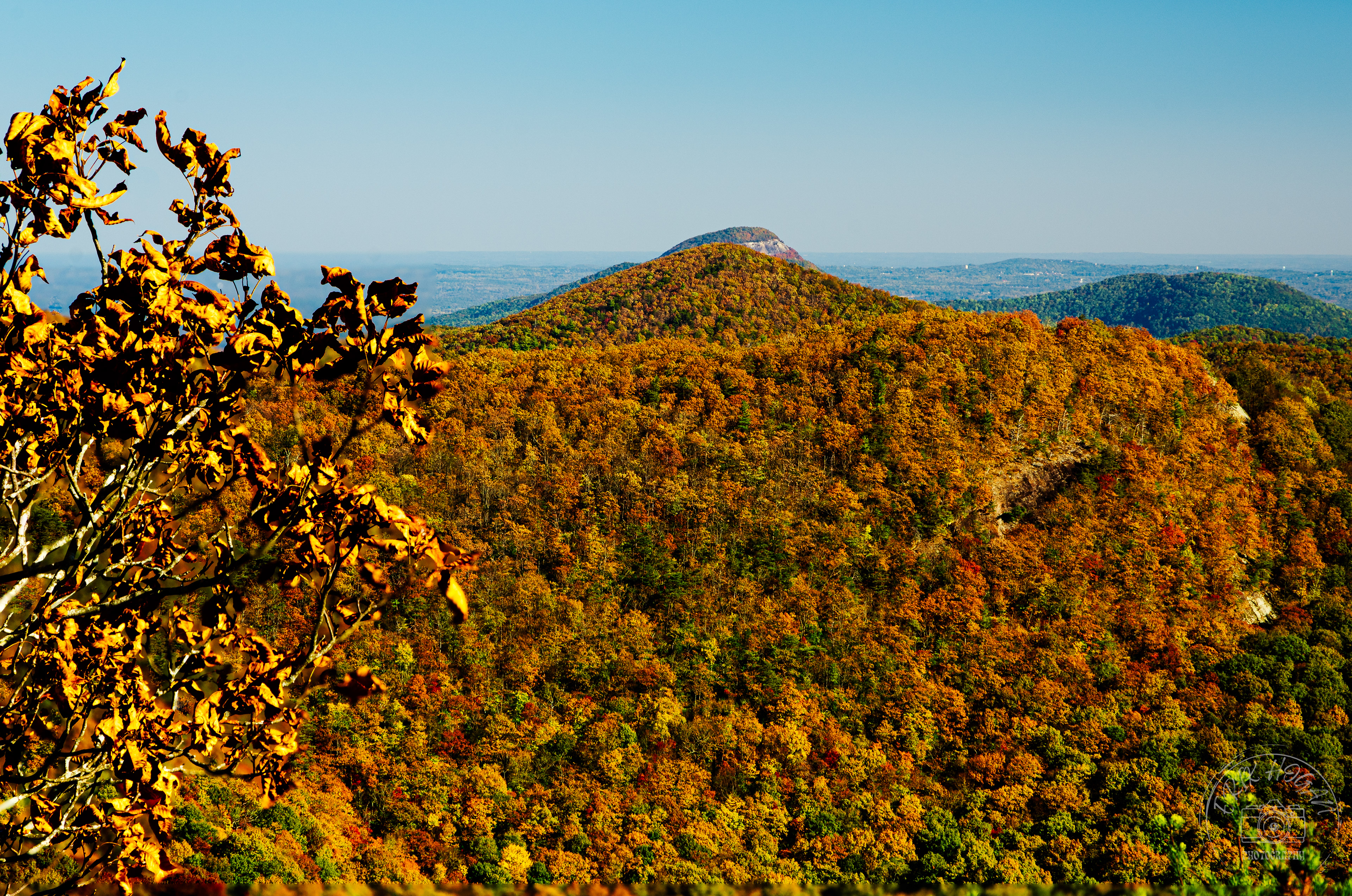 Wolf Laurel Top October 2022   III