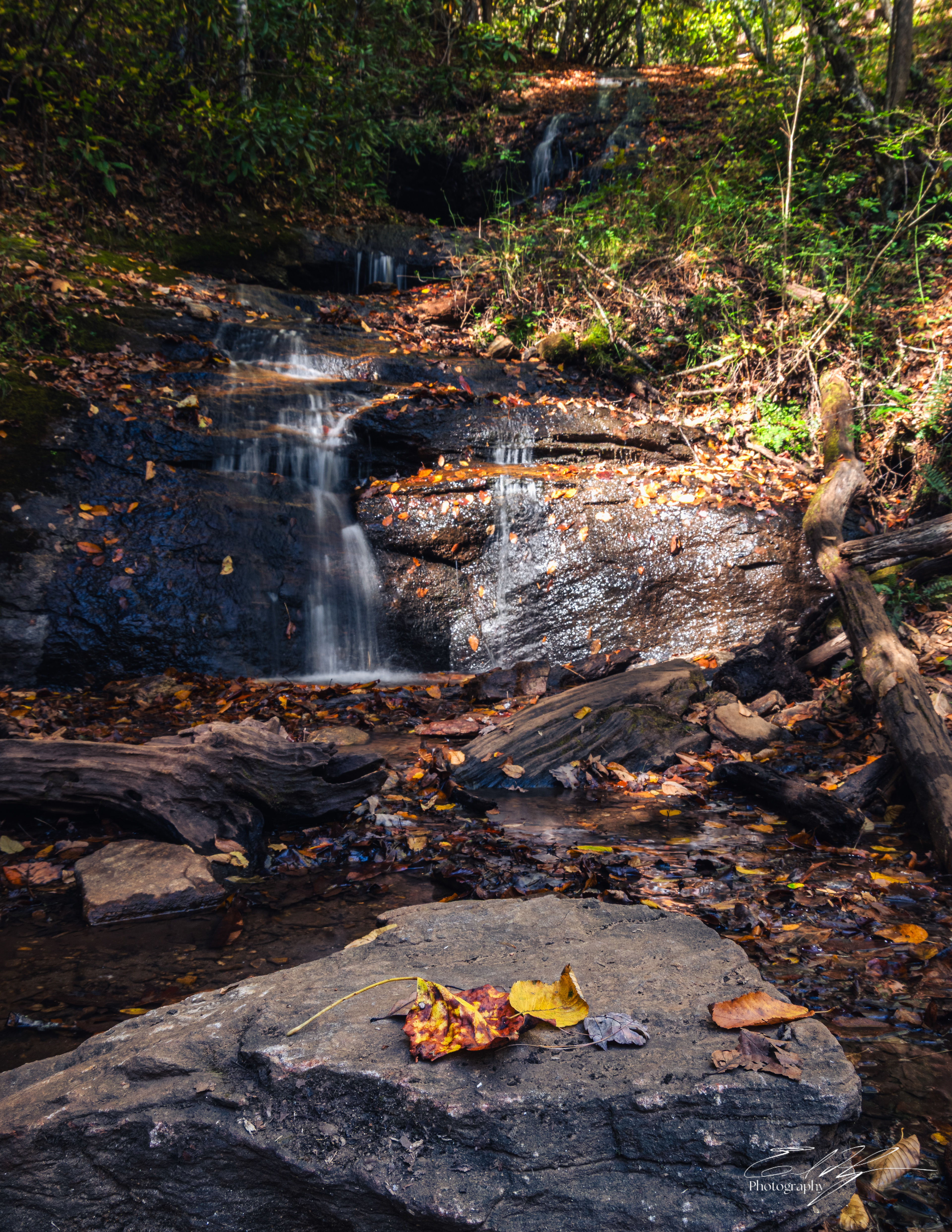 Day 4  Ray Cove Falls