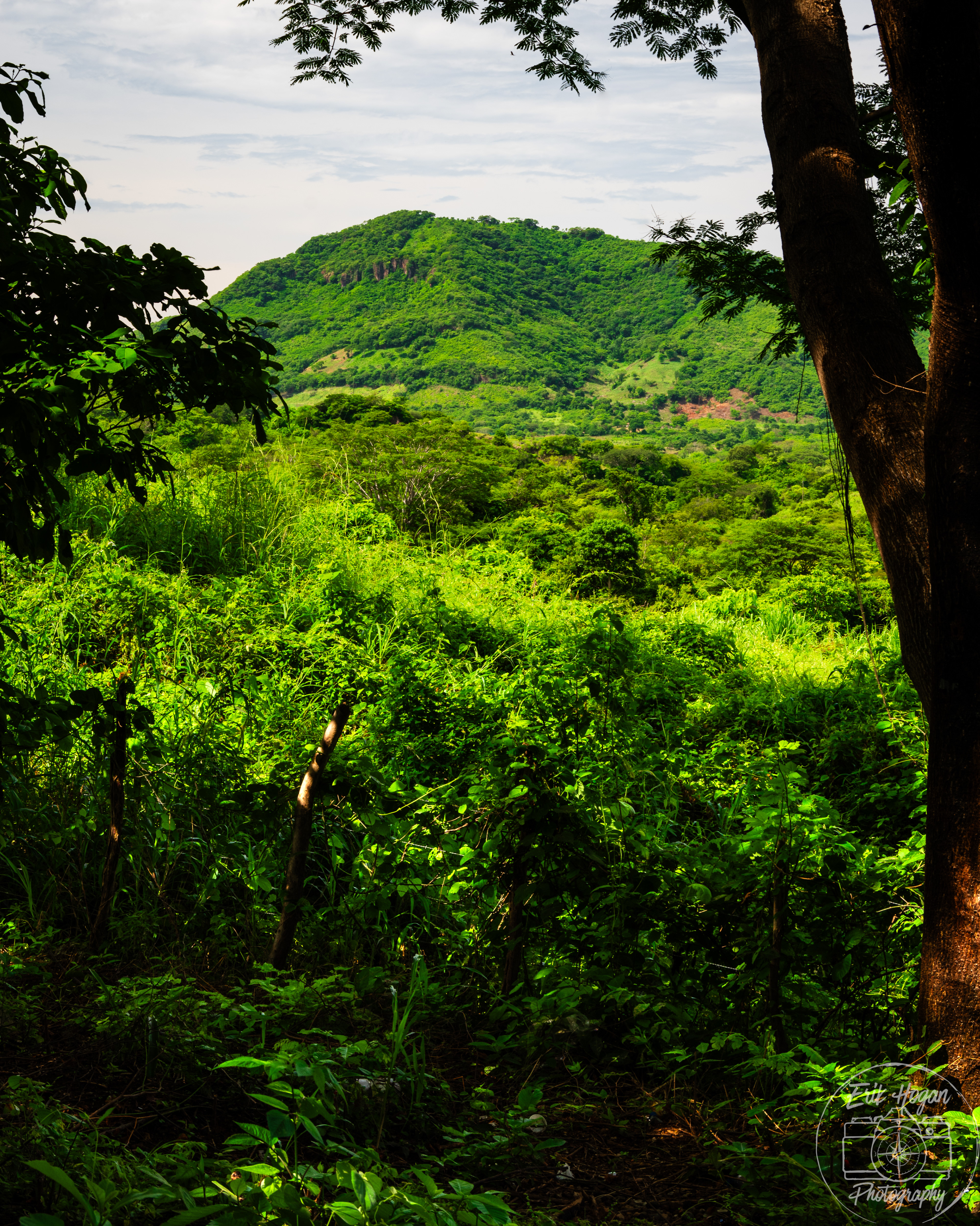 Nacaome, Honduras July 2024   XIV
