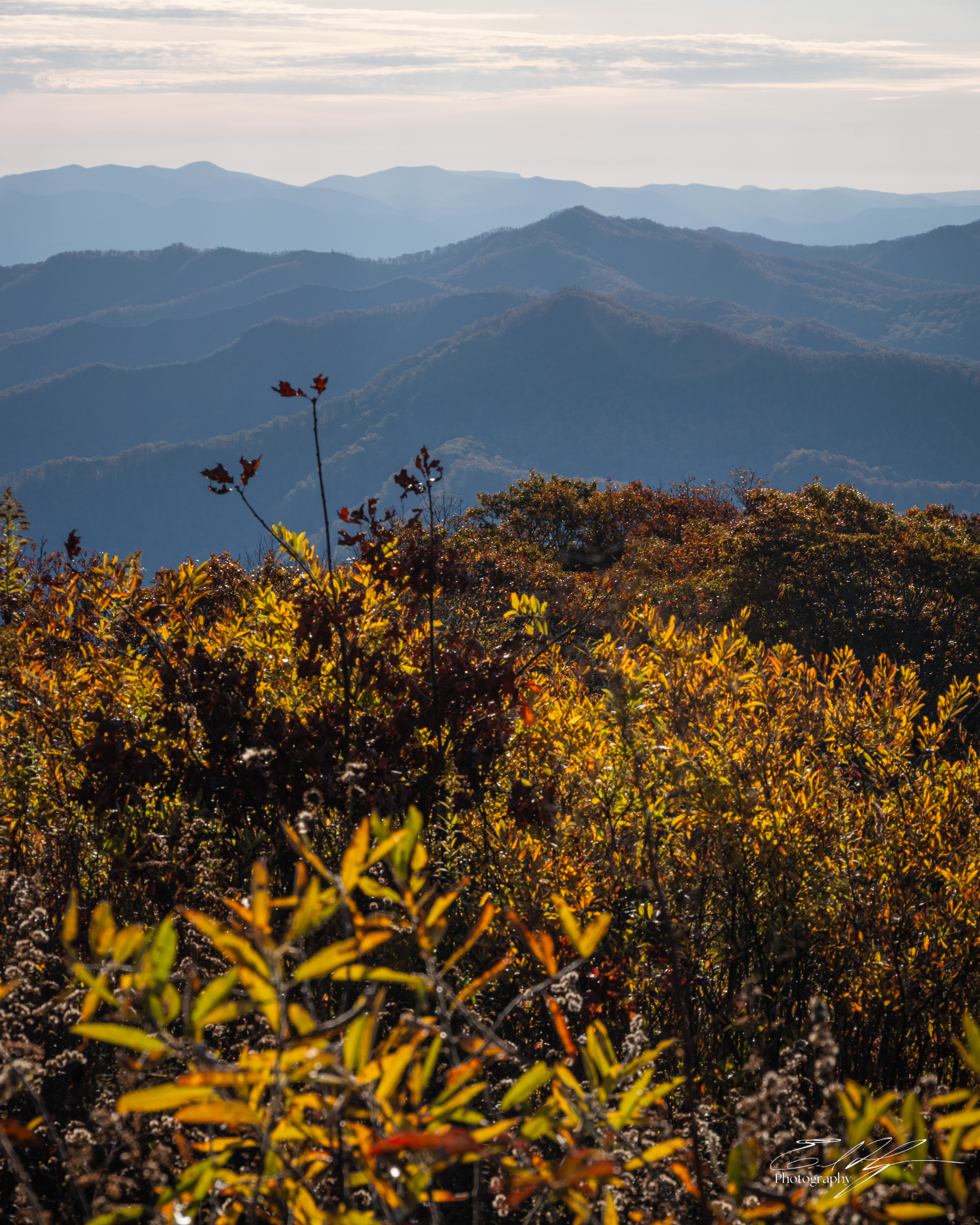 Day 7  Cheoah Bald VII