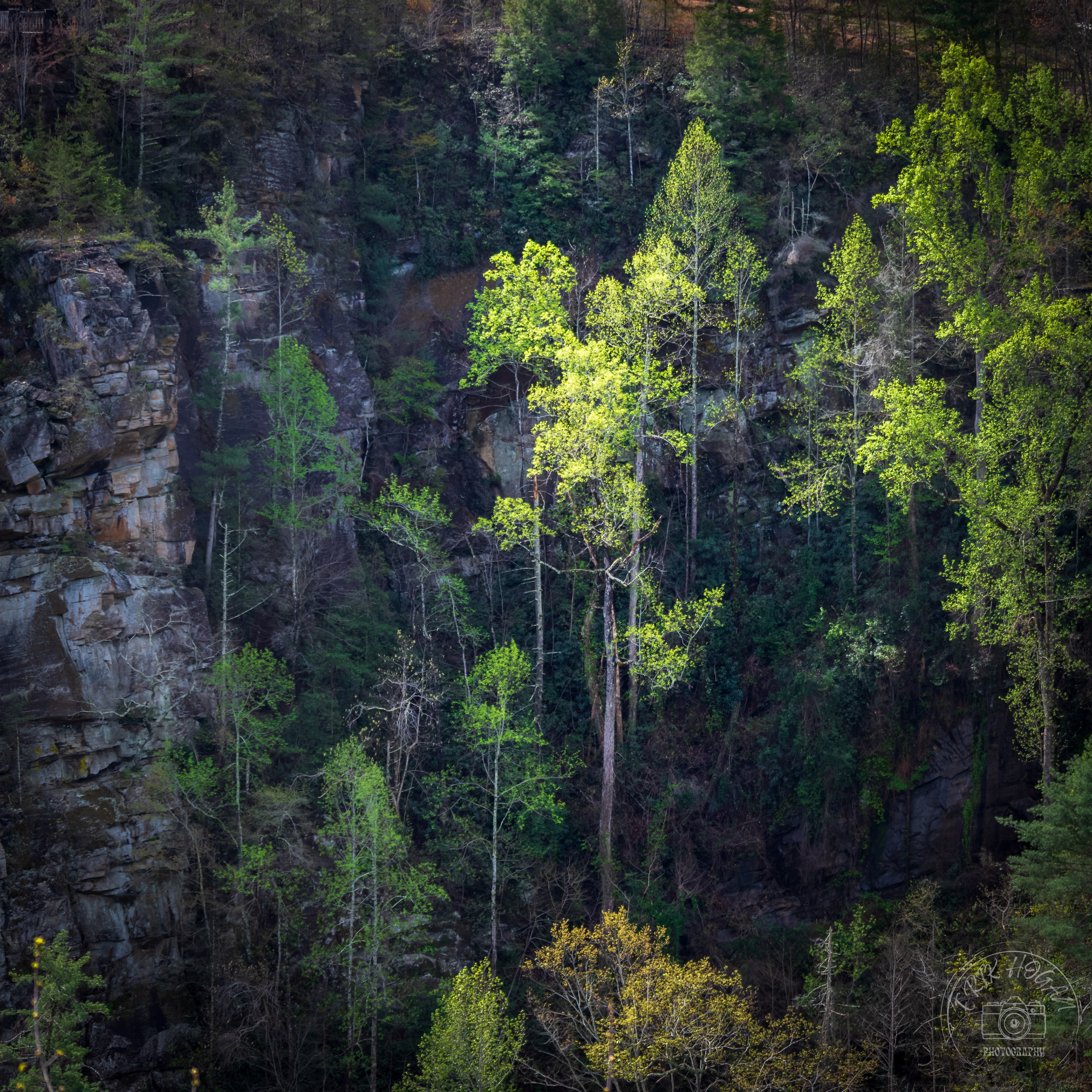 Tallulah Gorge April 2023   V