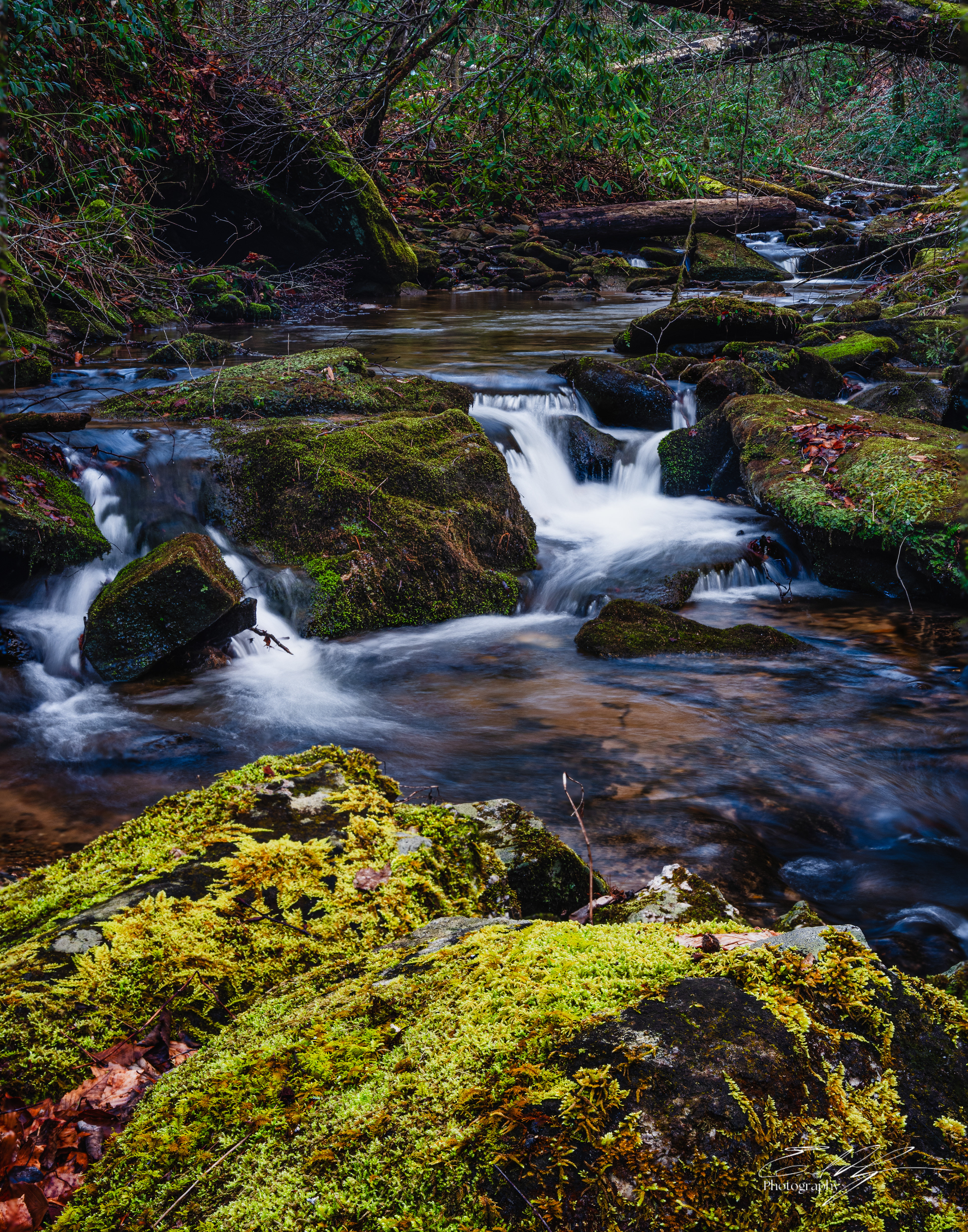 Camp Creek February 2026 III