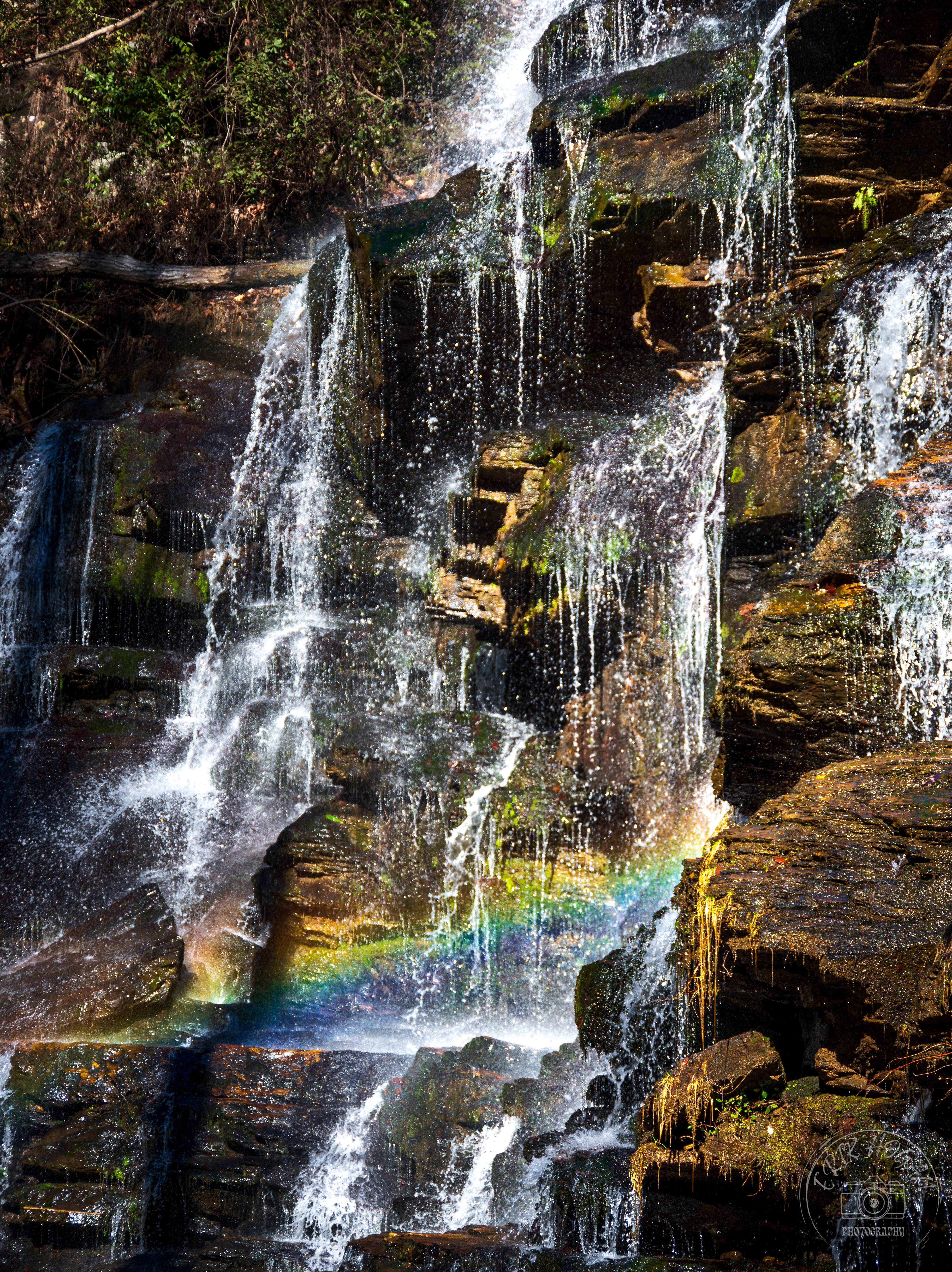 Yellow Branch Falls February 2023   III