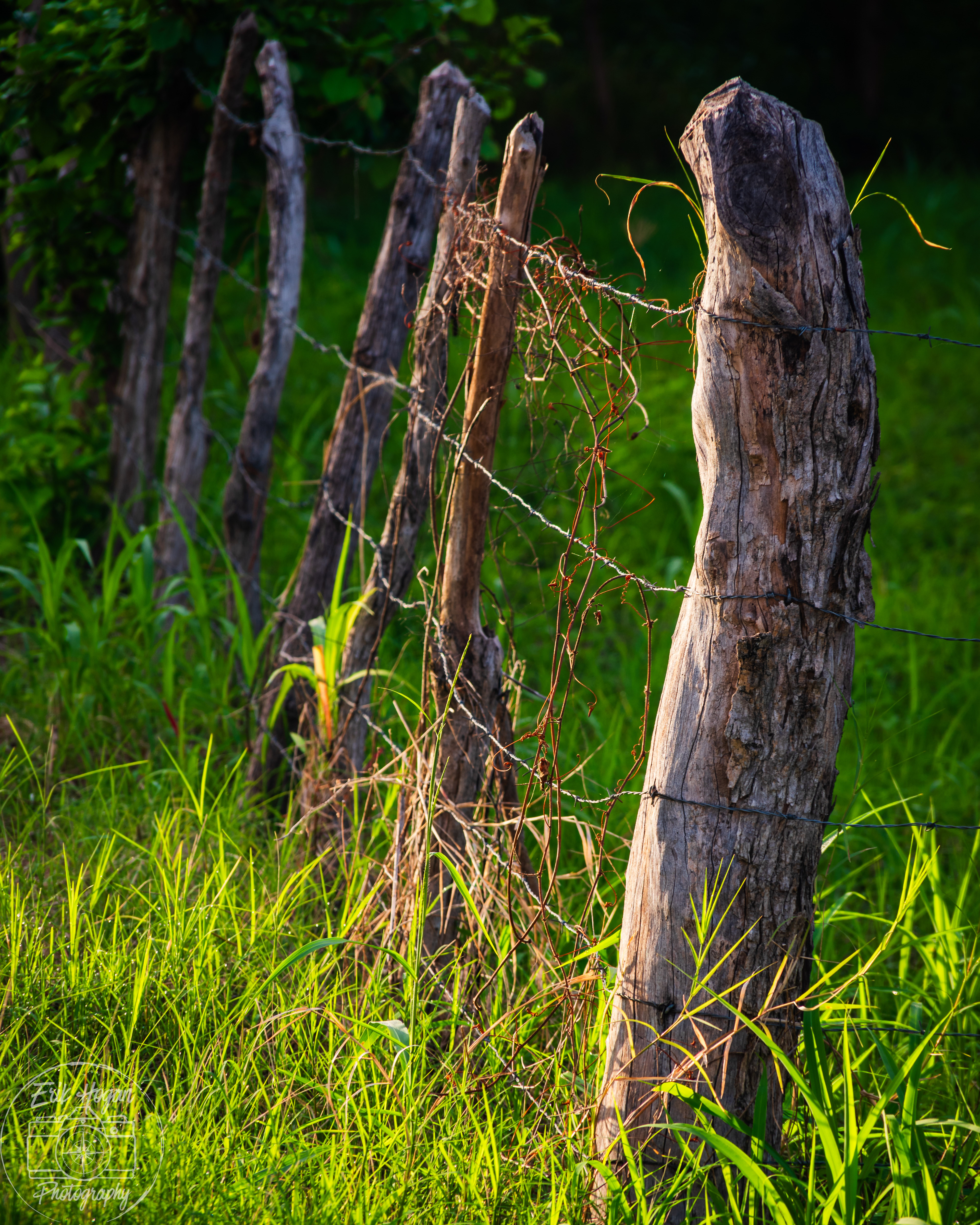 Nacaome, Honduras July 2024   I