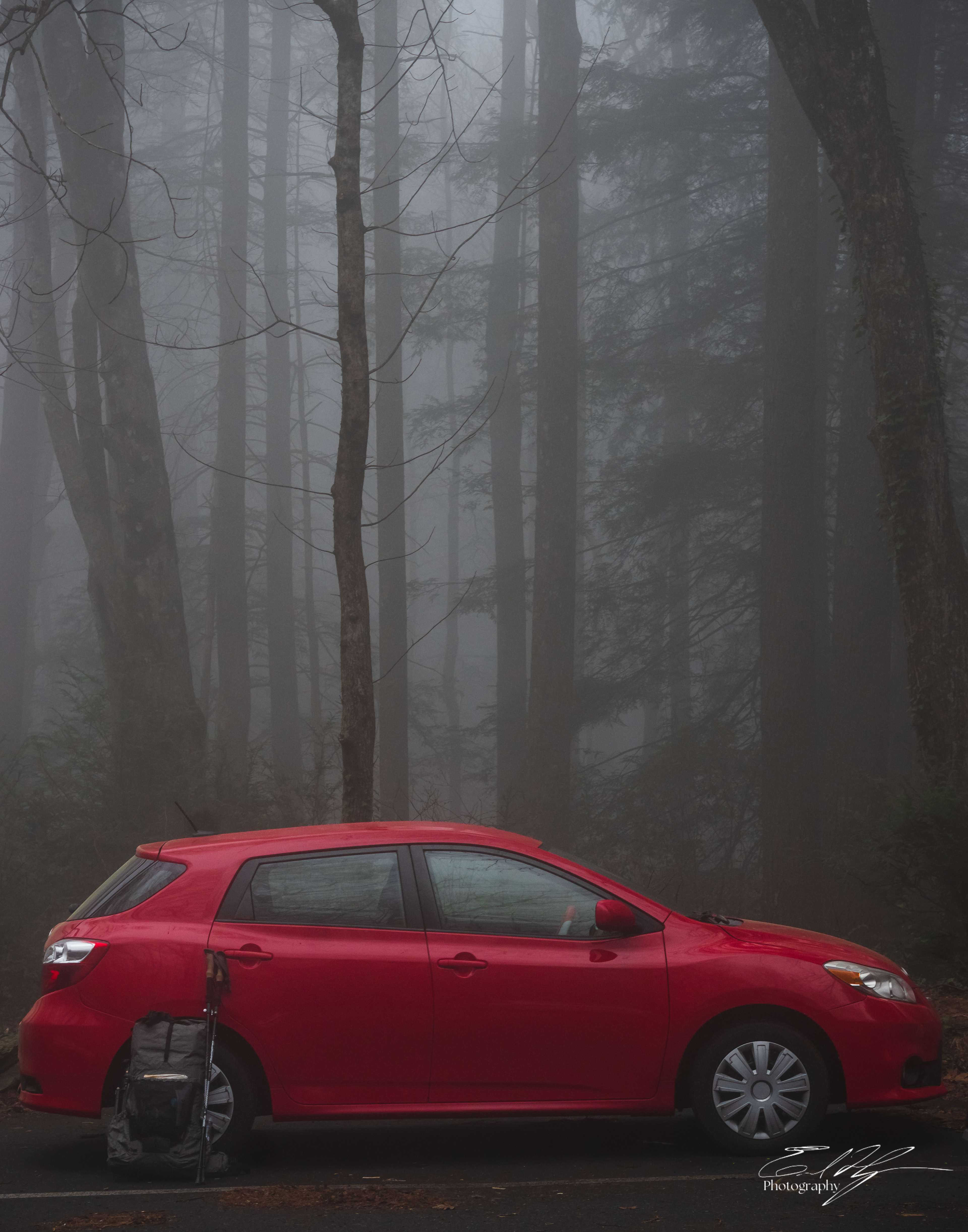 Early Spring 2025   I