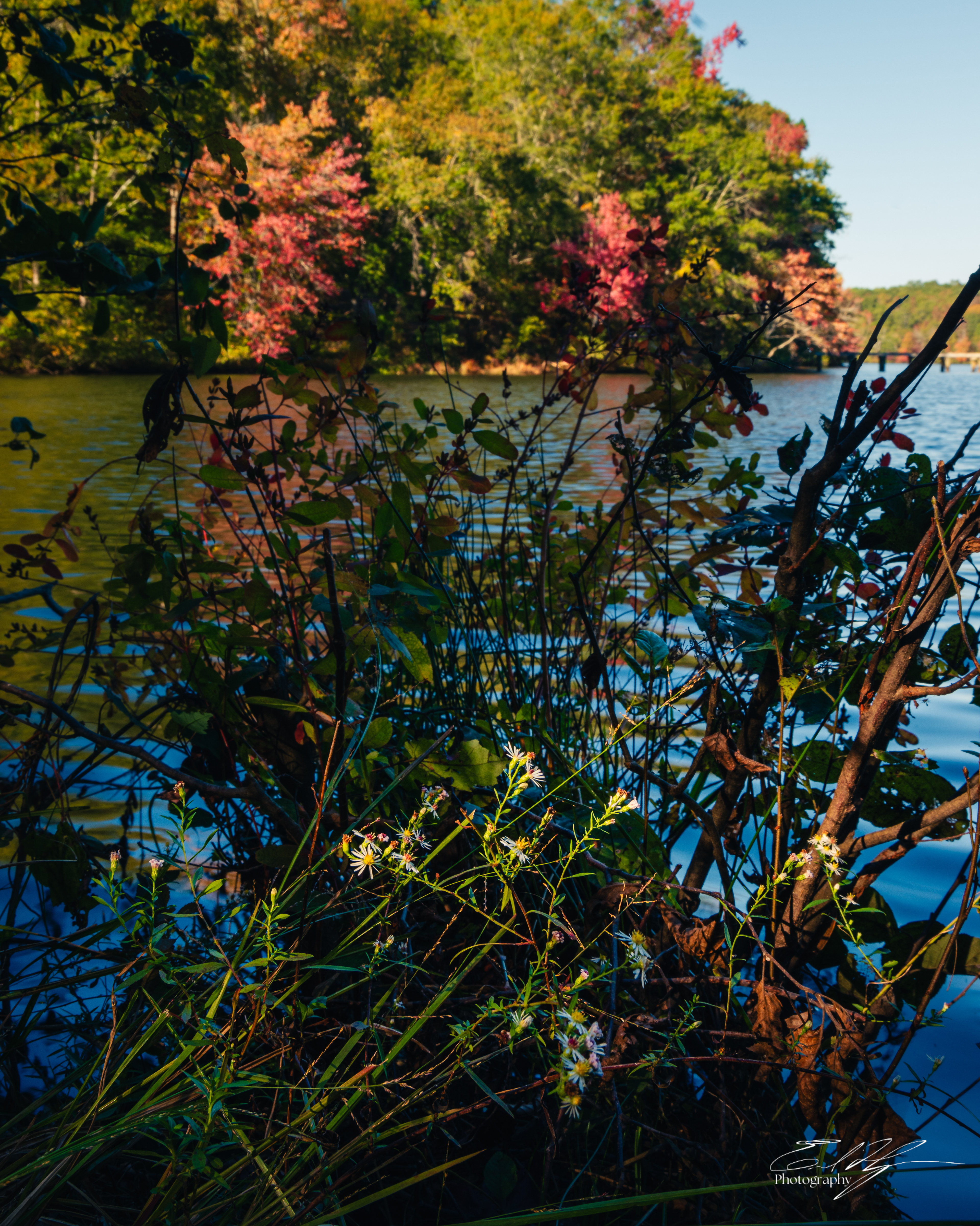Sandy Creek Park October 2024
