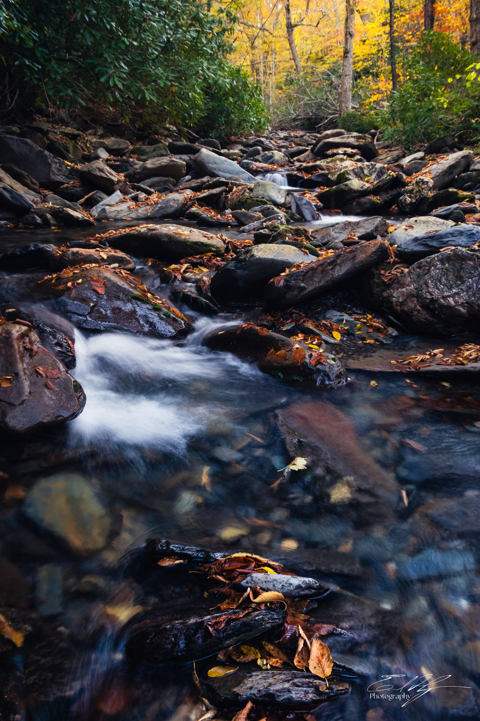 Alum Cave Trail October 2024   I