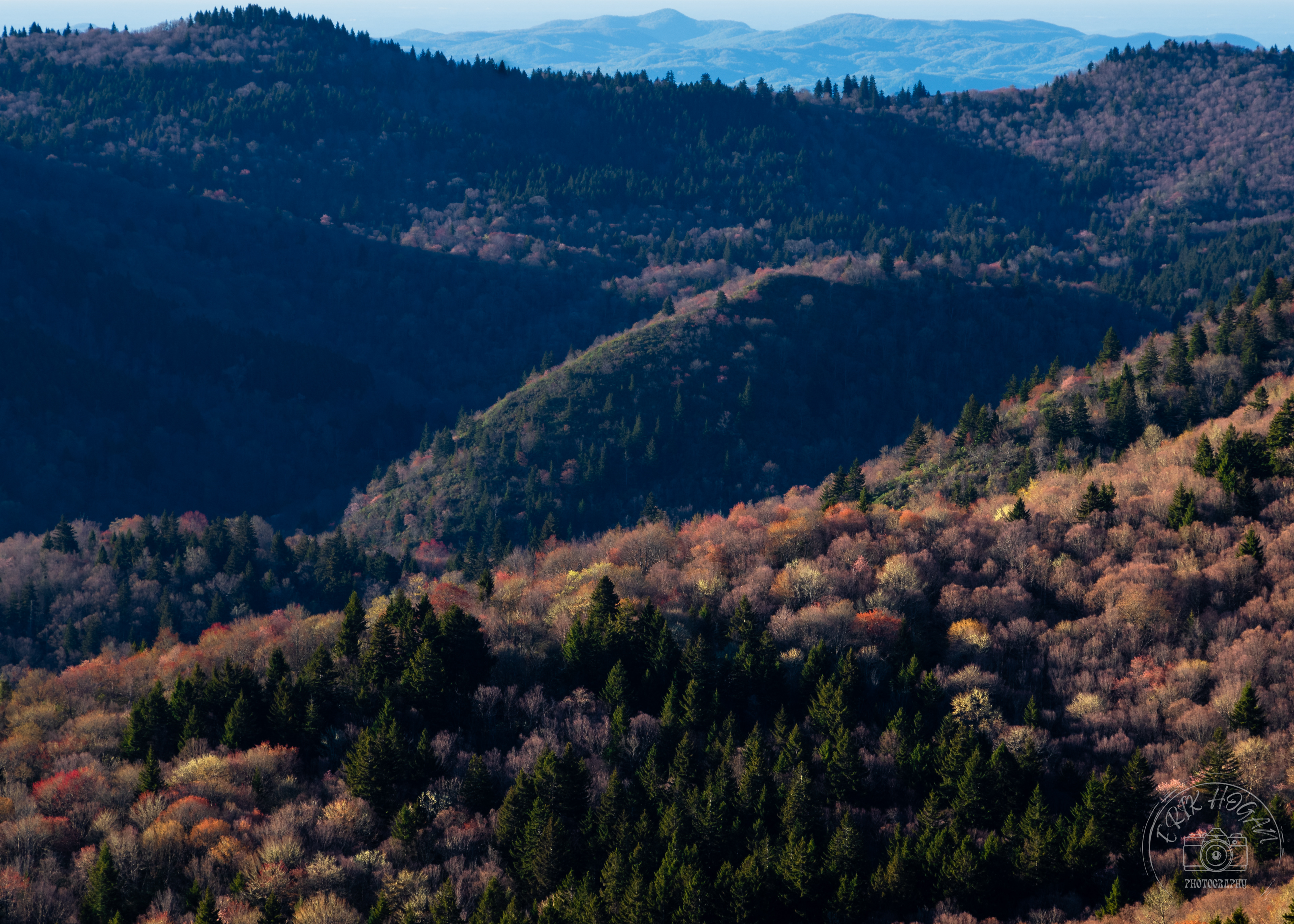 Middle Prong Wilderness May 2023   IV