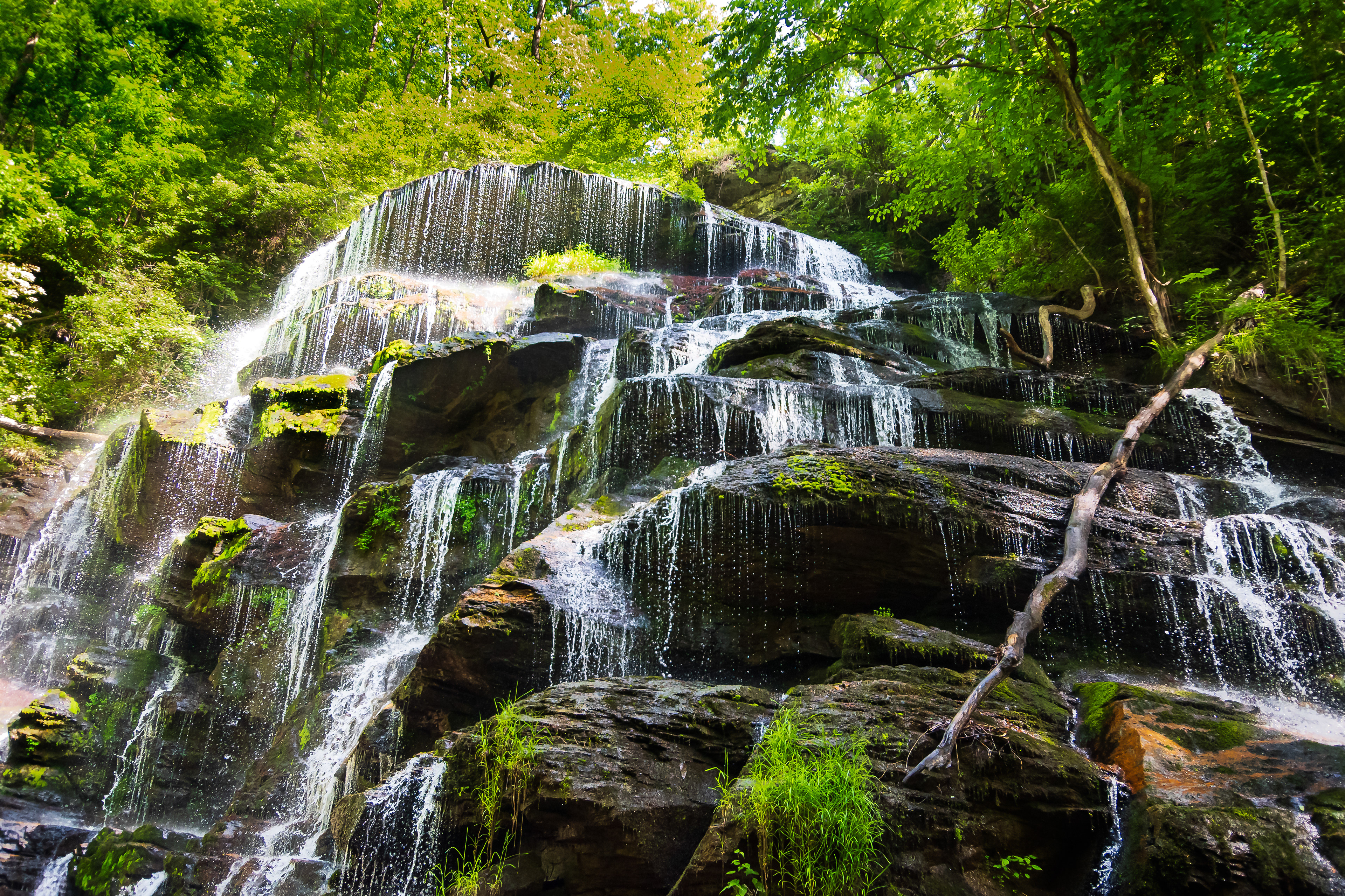 Yellow Branch Falls May 2021   II
