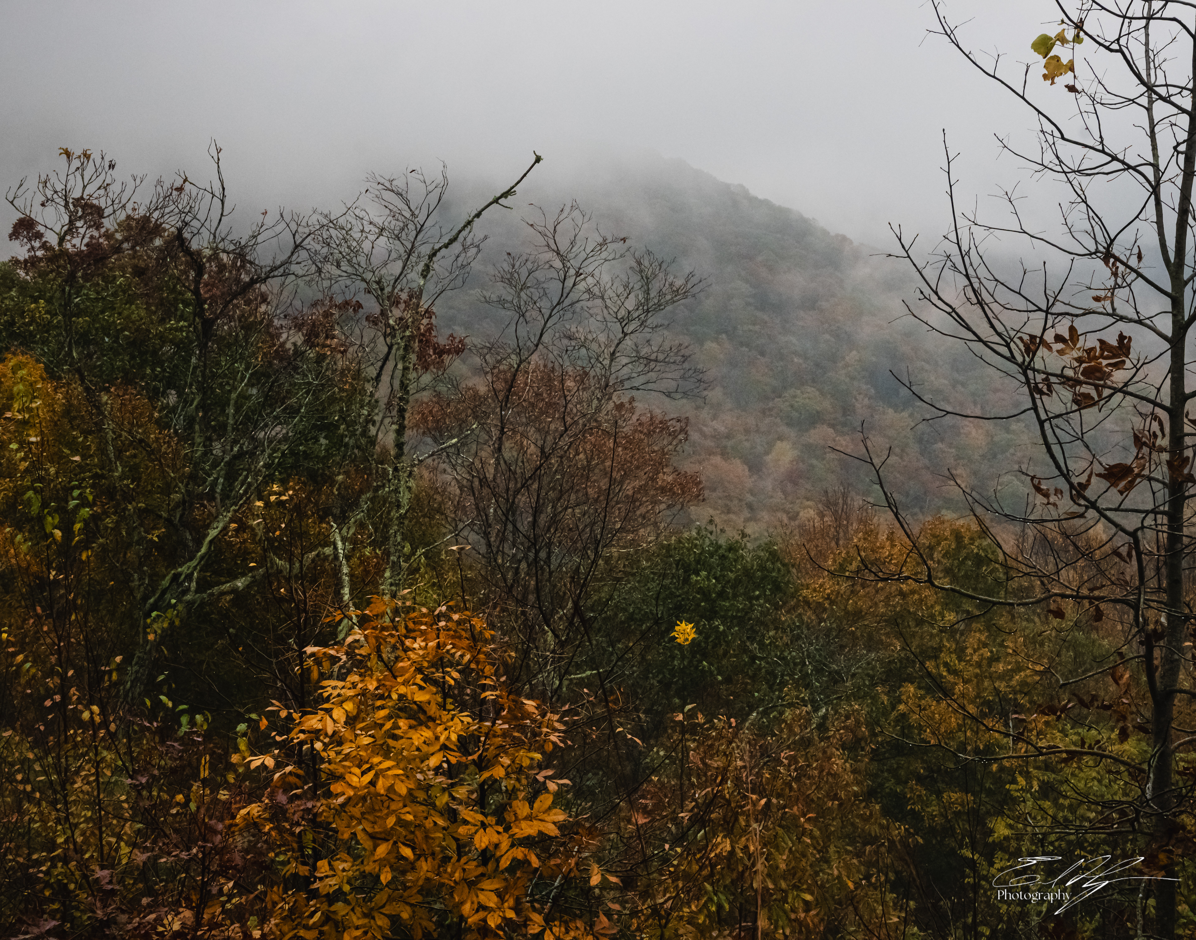 Day 3  Fishhawk Mountains II
