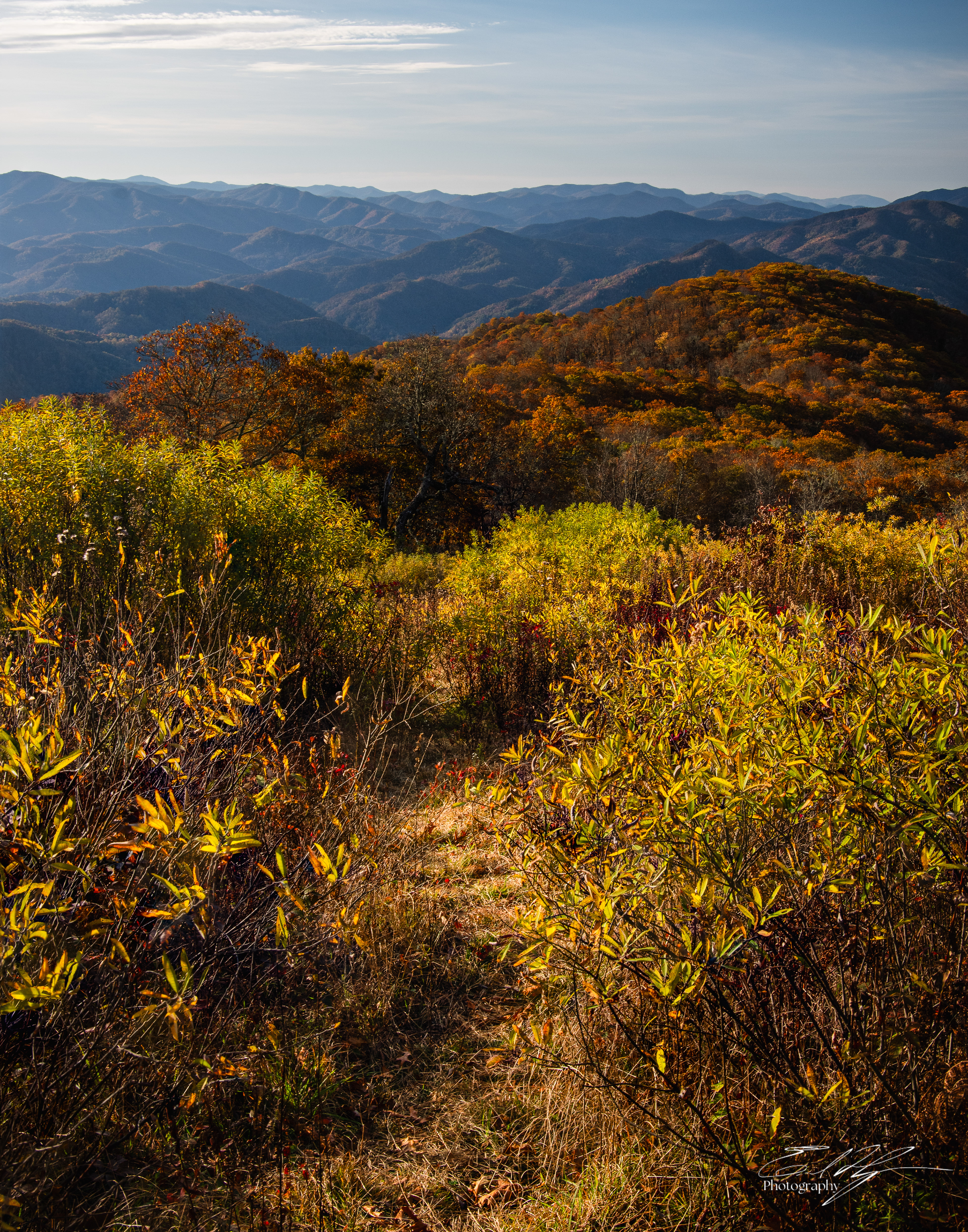 Day 7  Cheoah Bald III