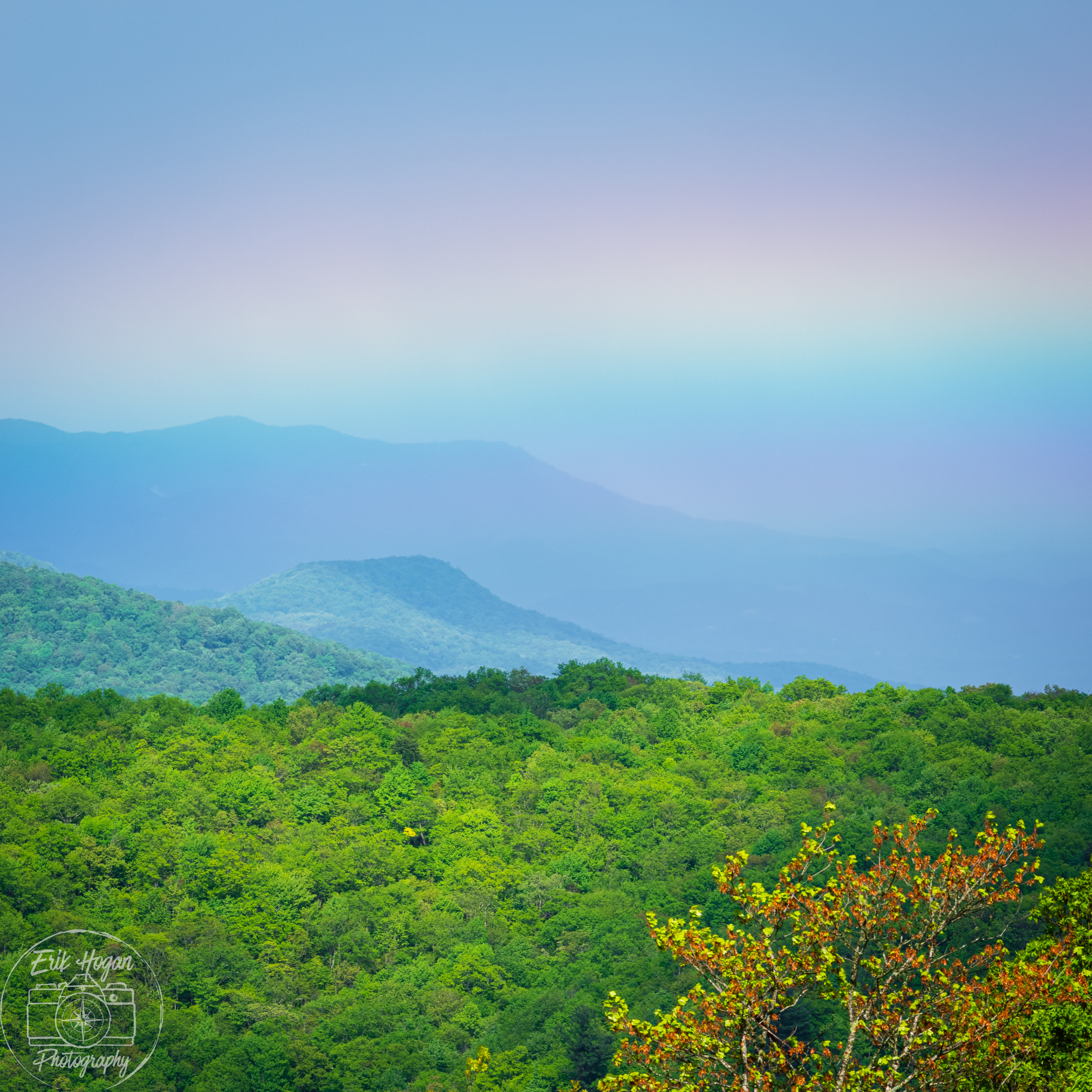 Sassafrass Mountain May 2024   IV