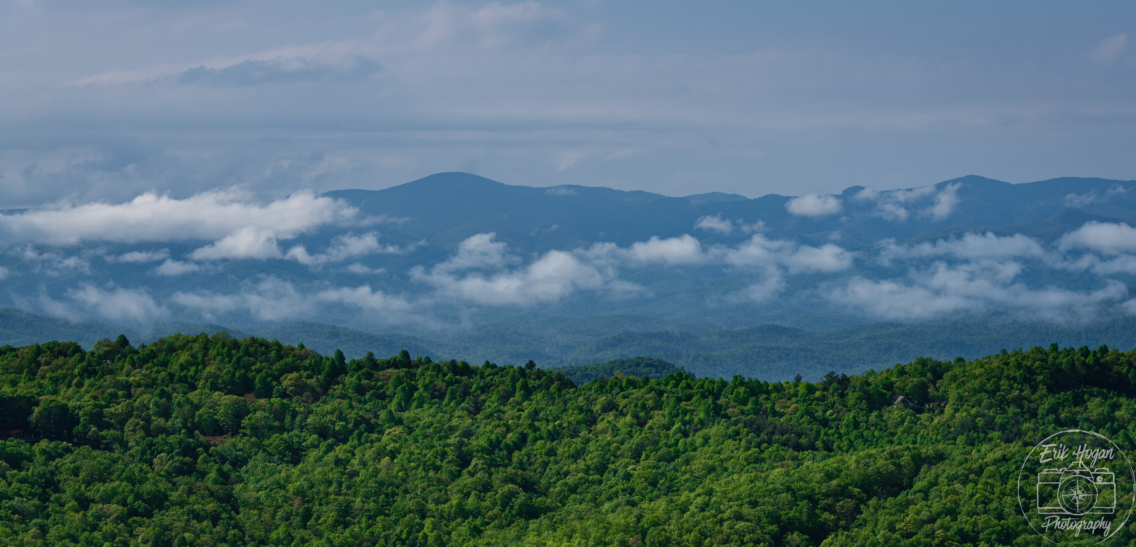 Sassafrass Mountain May 2024   V