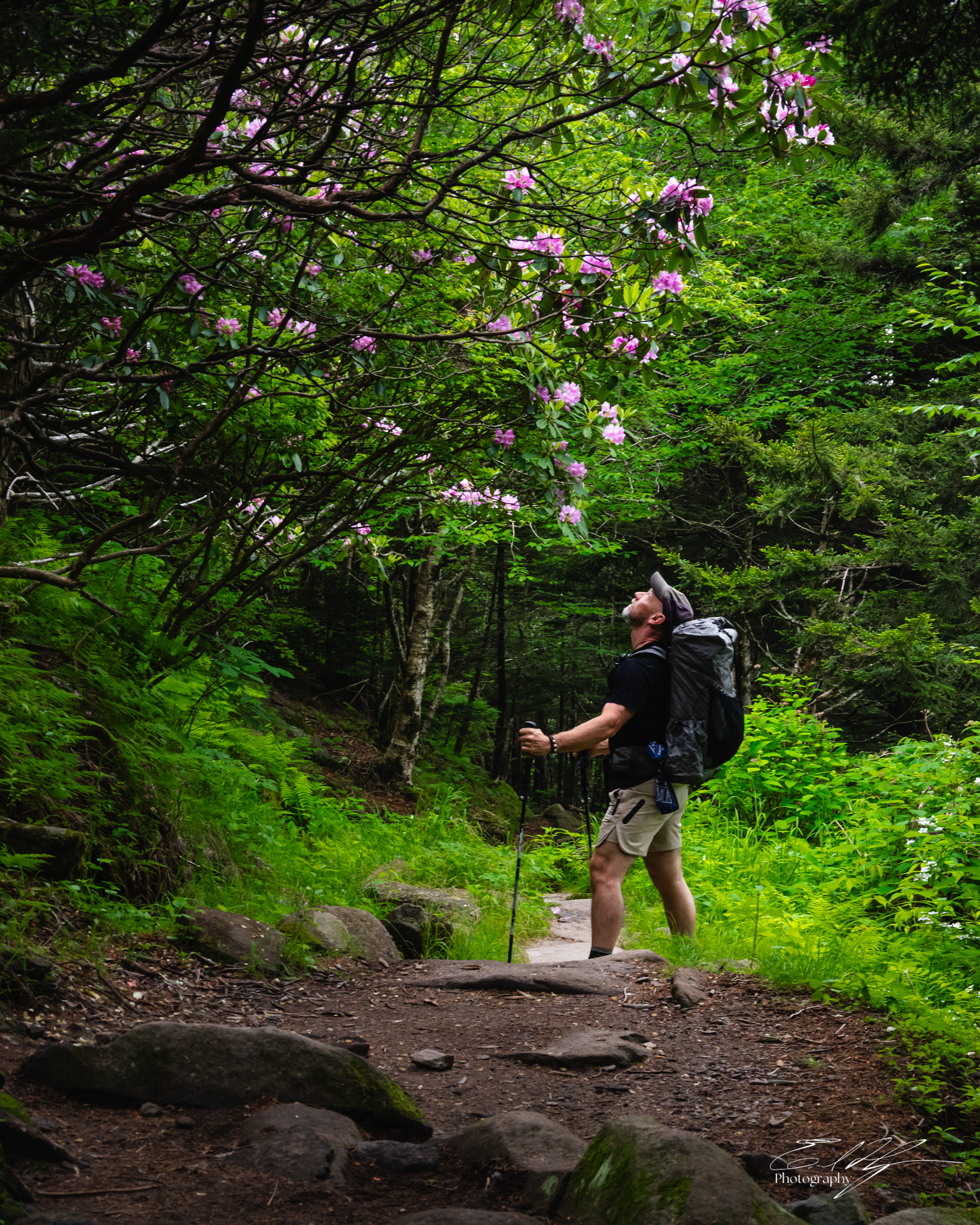 Andrew's Bald June 2025 II