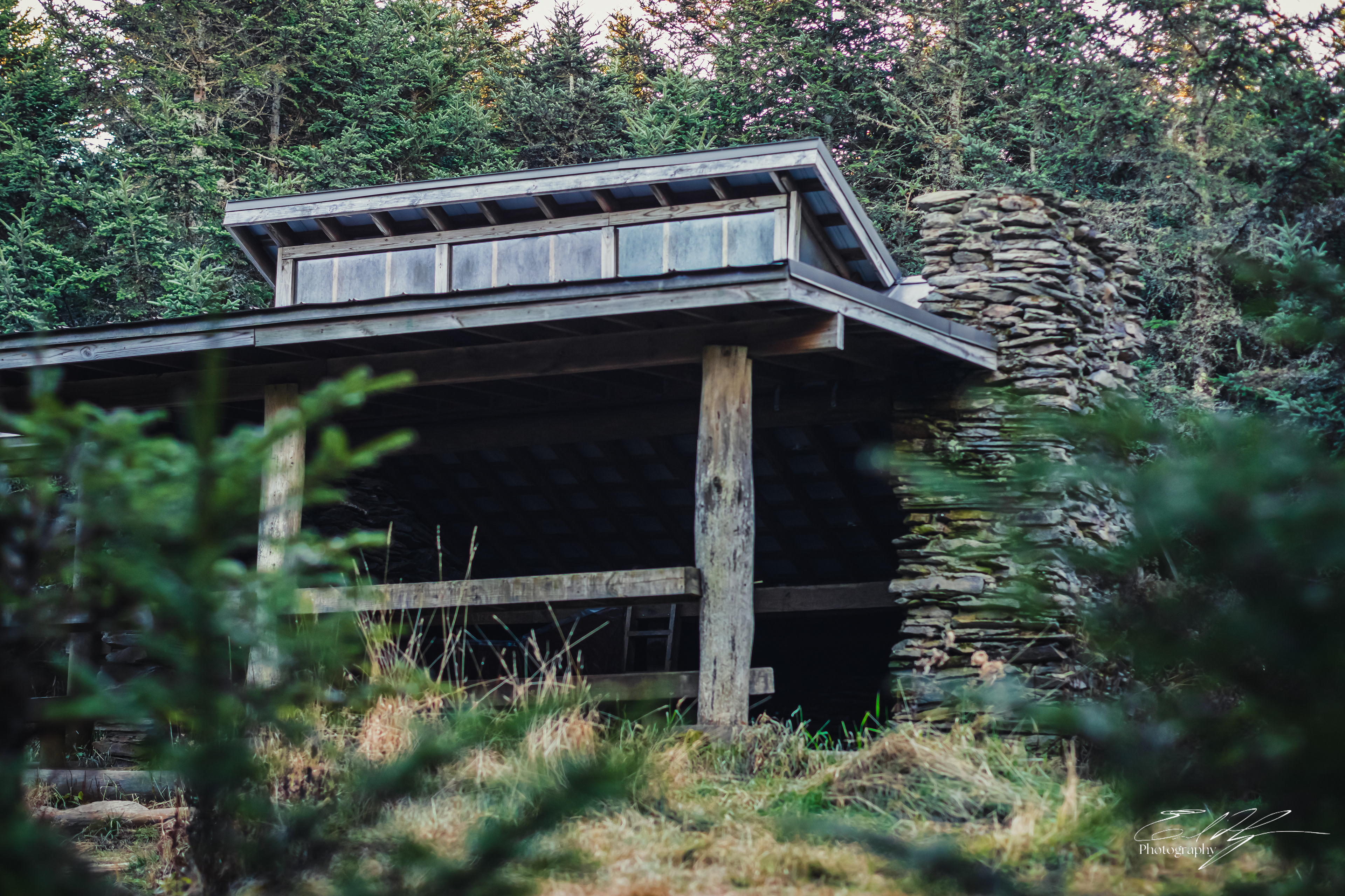 Mount LeConte October 2024   X
