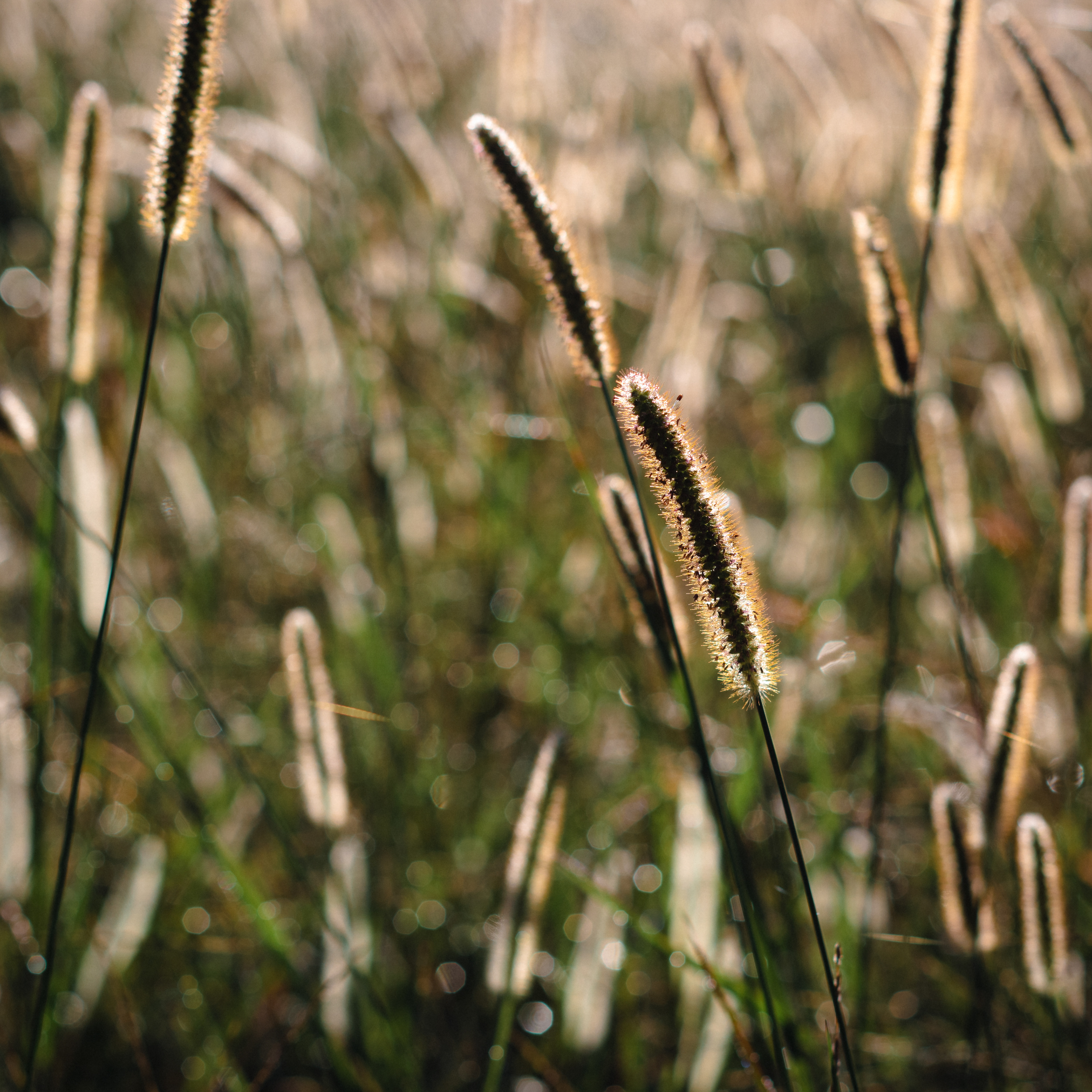 September 2023   III