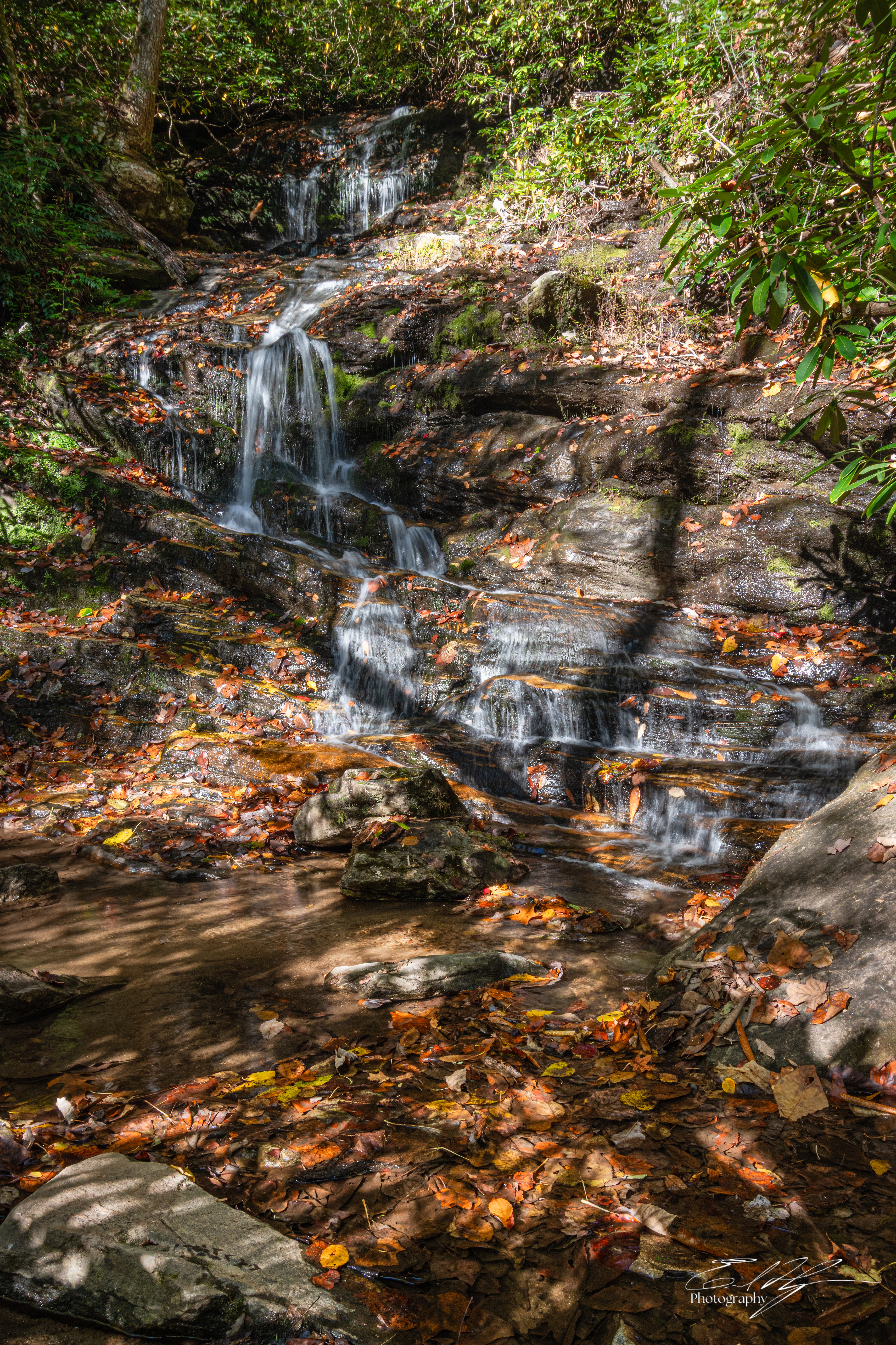 Day 2  Becky Branch Falls