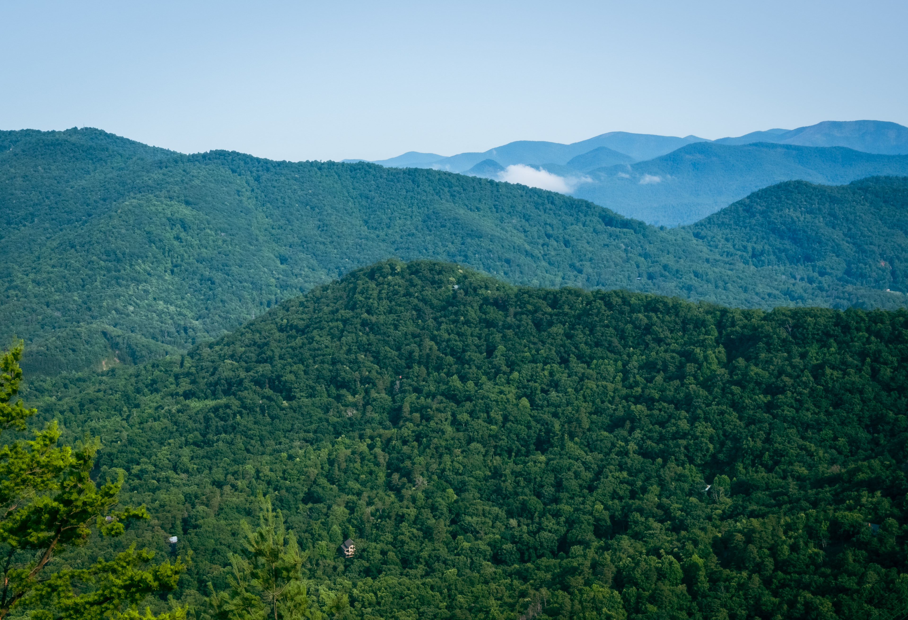 Pinnacle Knob July 2021