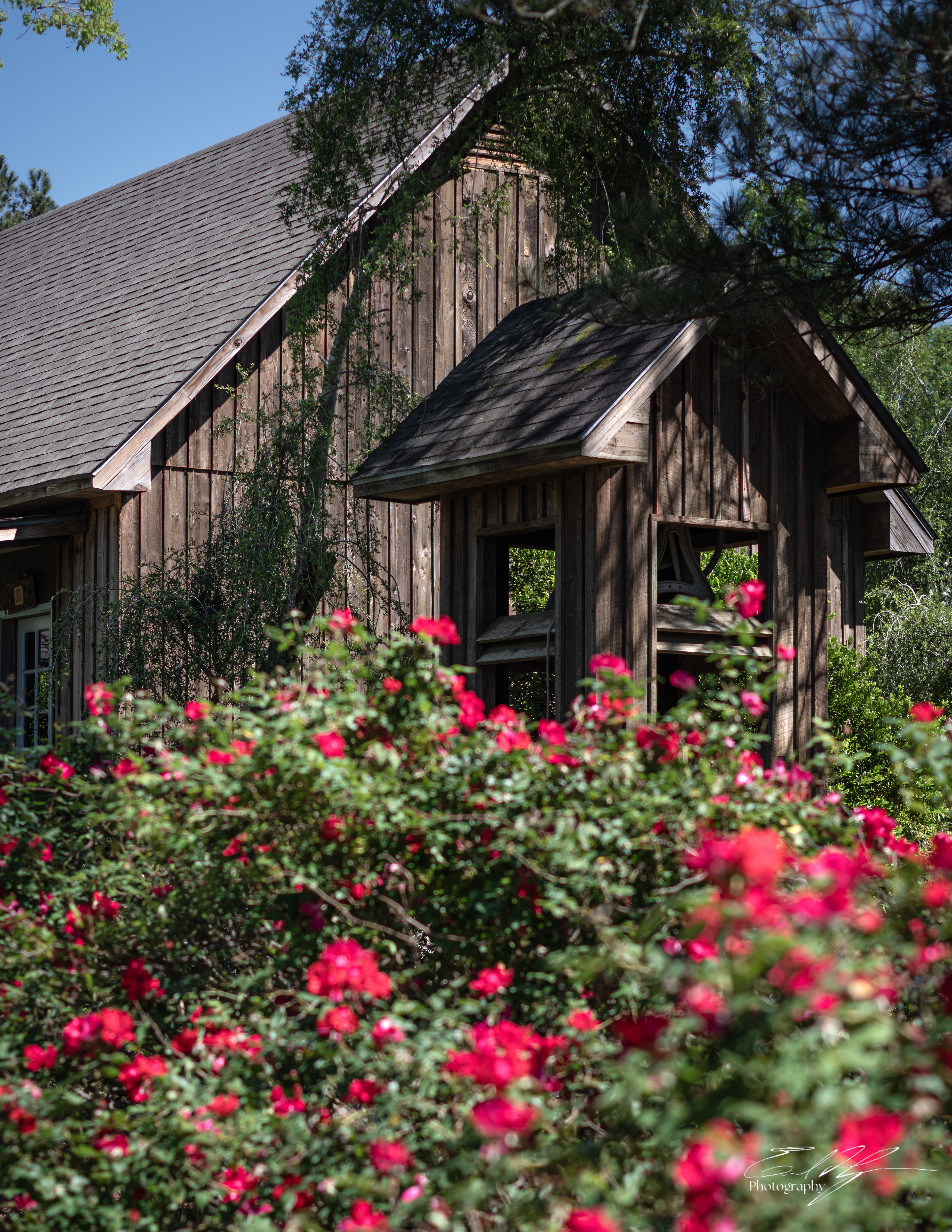 Green Bough House of Prayer April 2025   IV