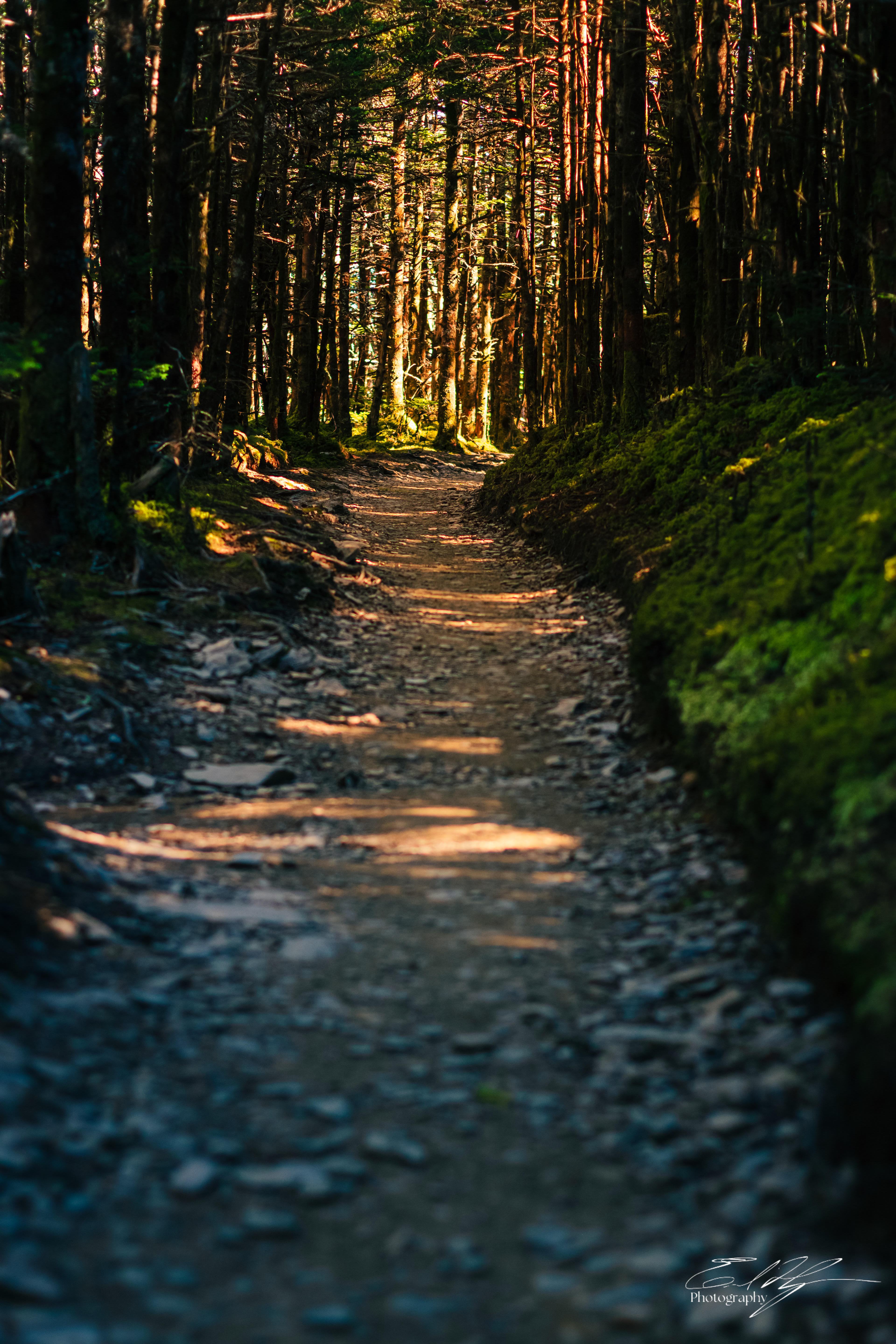 Mount LeConte October 2024   I