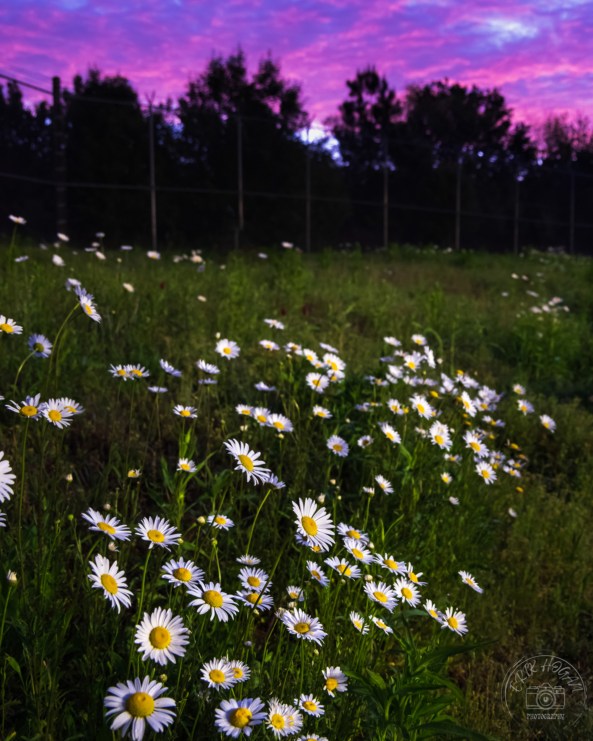 Behind the Clarke County Jail April 2023