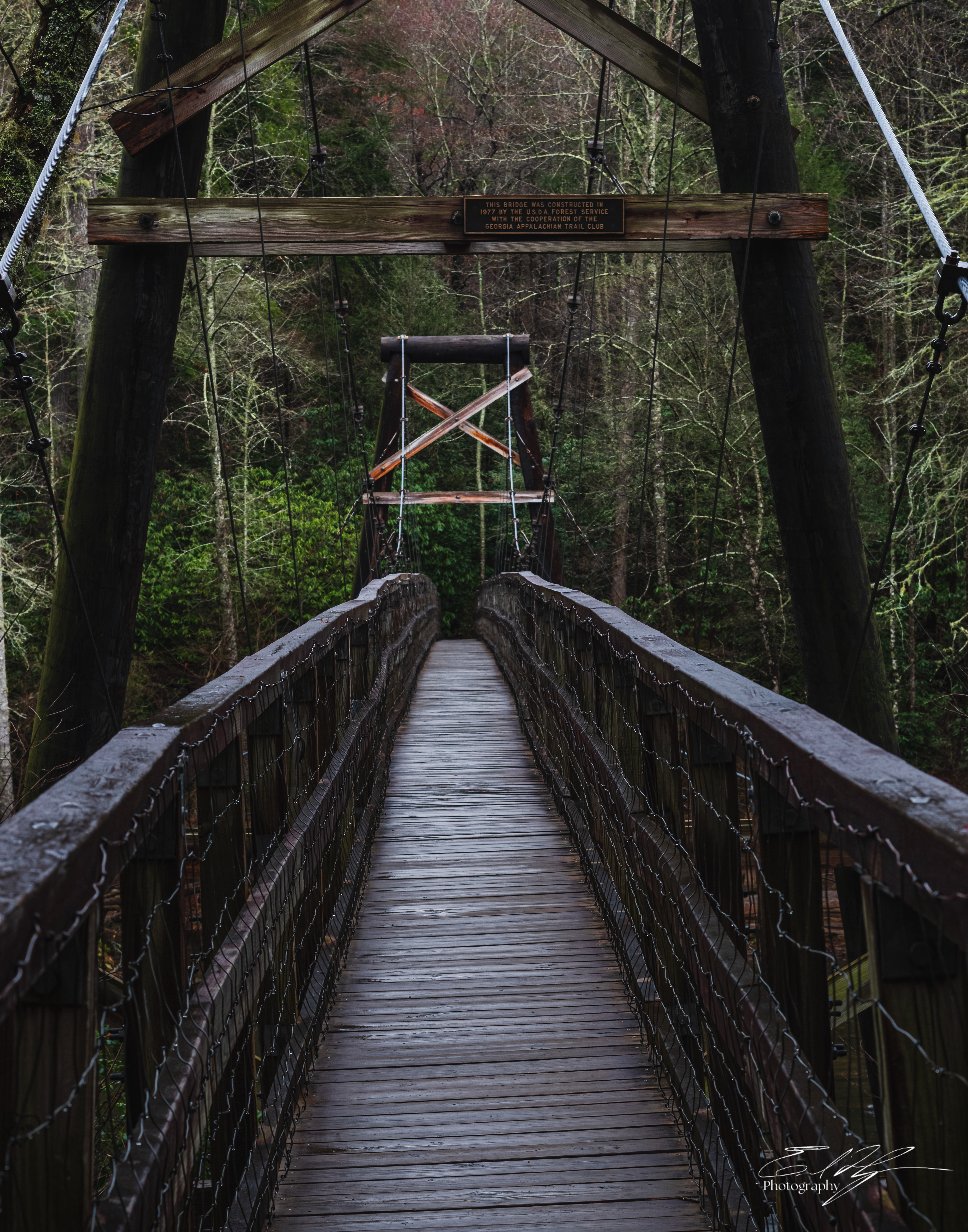 Toccoa River Swining Bridge   I