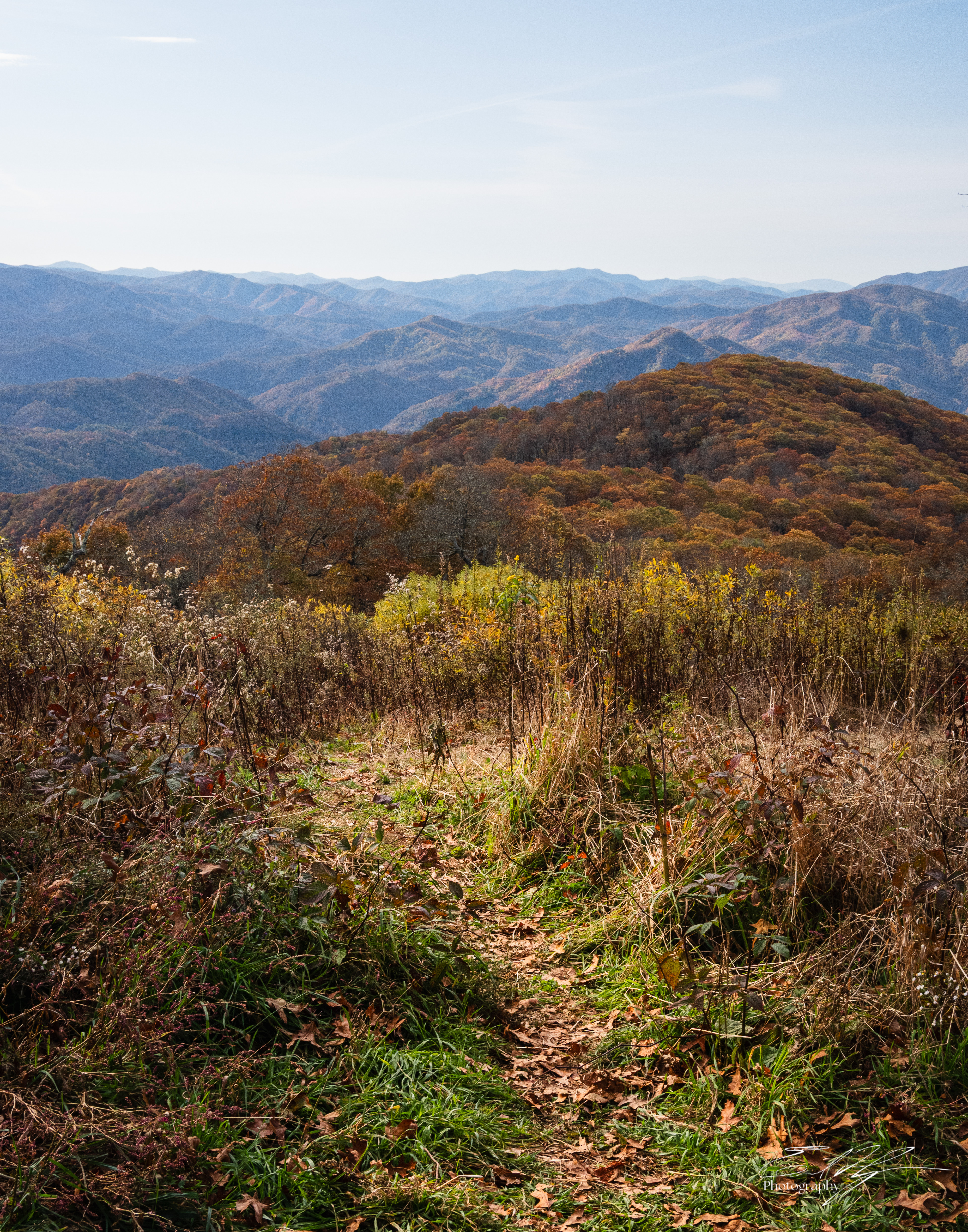 Day 7  Cheoah Bald VIII