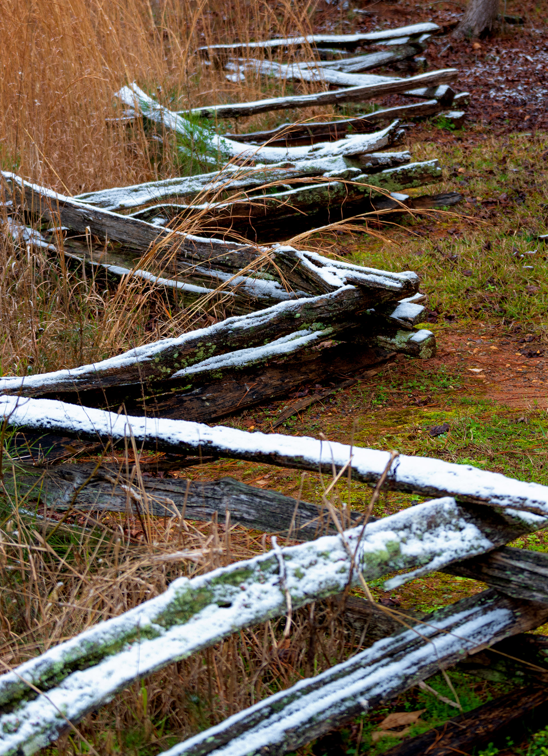 Sandy Creek Nature Center January 2022   I