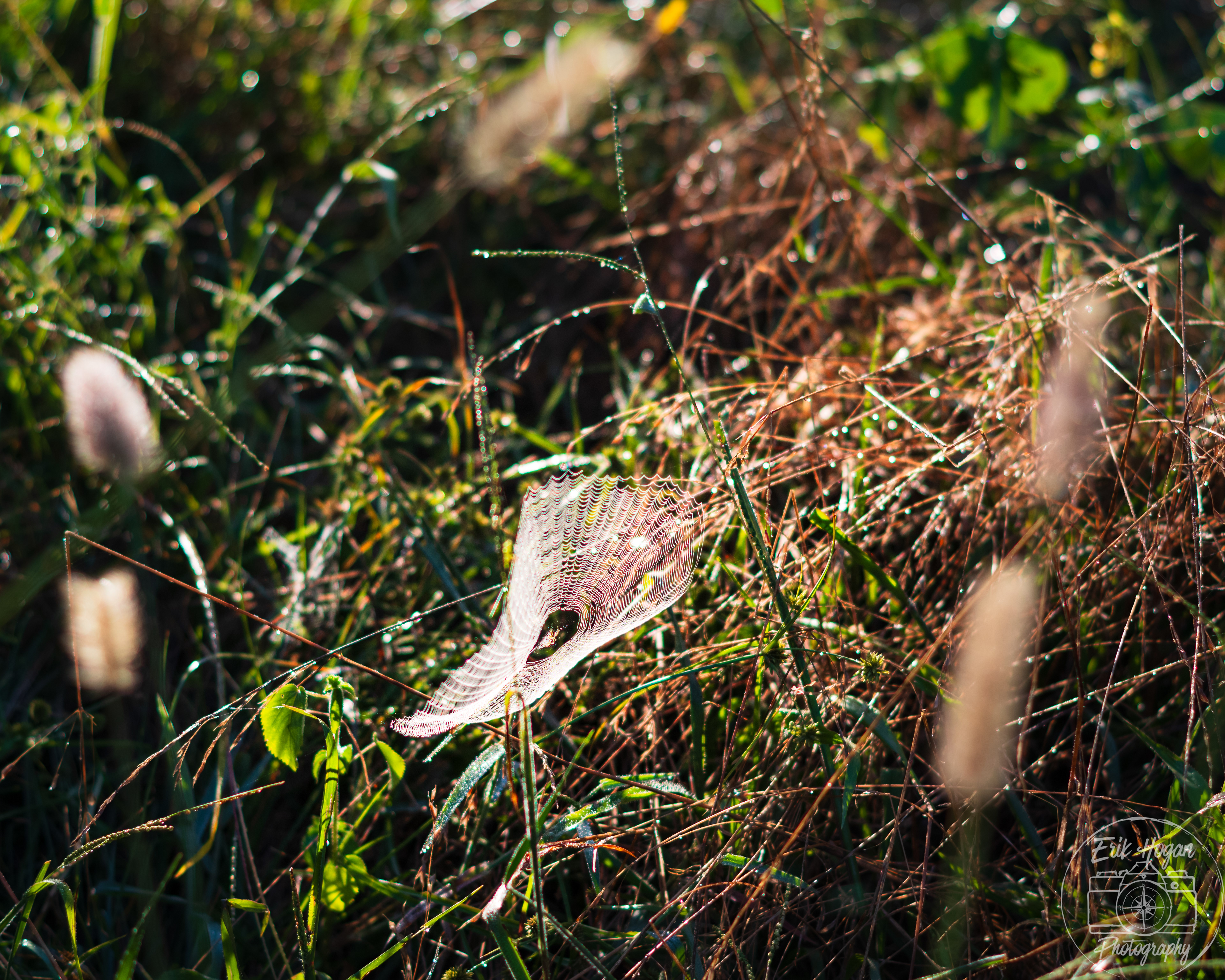 Nowhere Rd August 2024   V