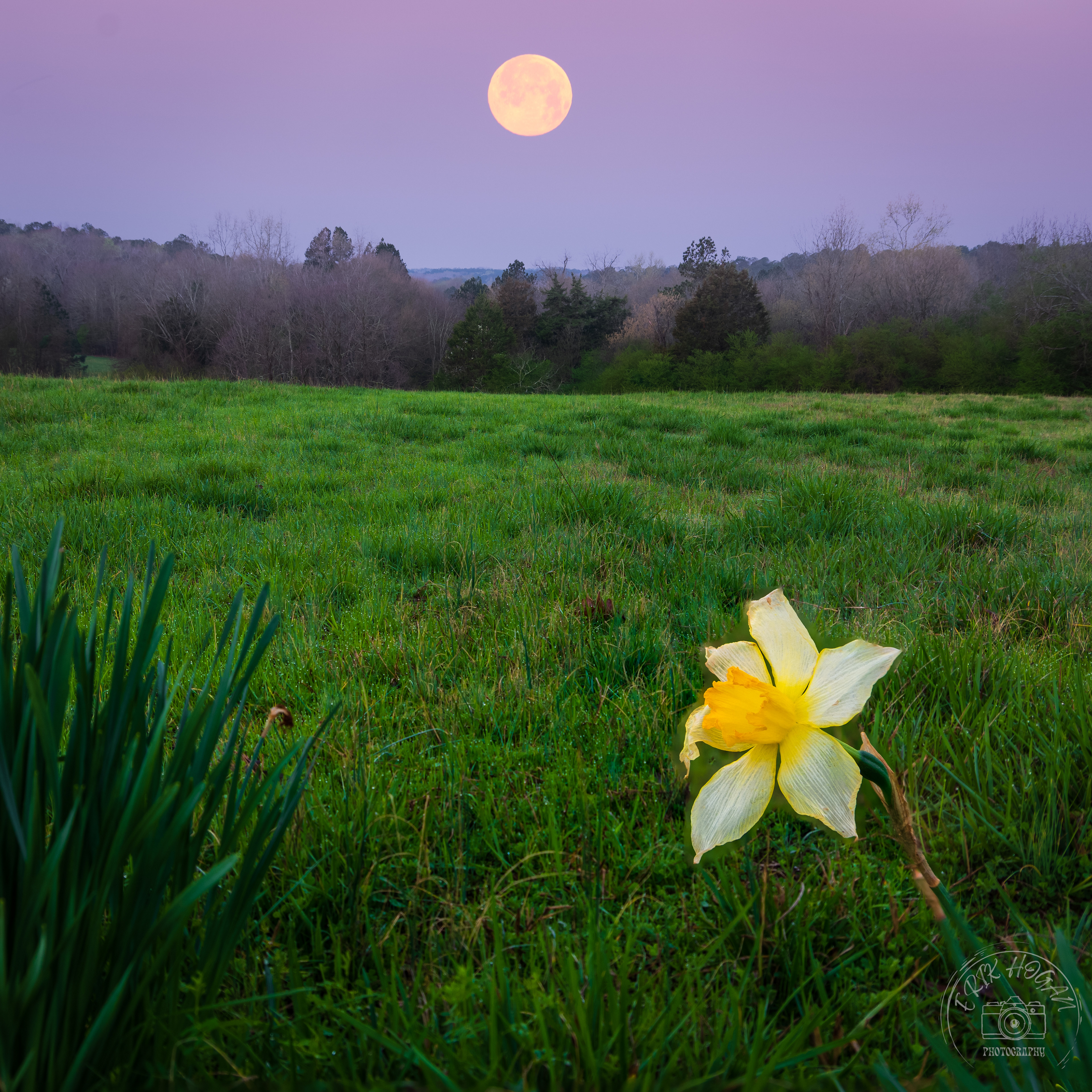 Nowhere Rd Full Moonset March 2023
