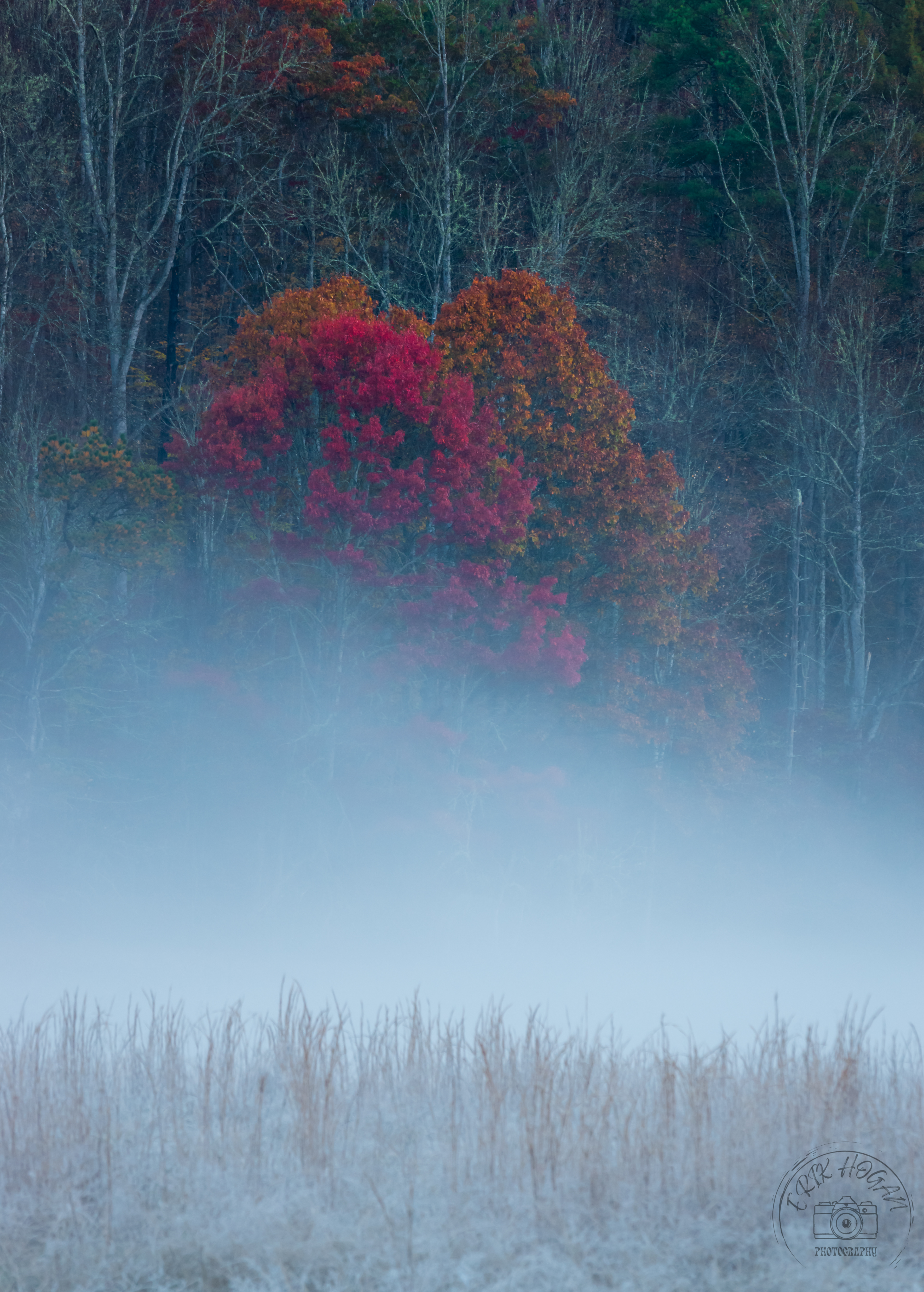 Cataloochee Valley October 2022   XV