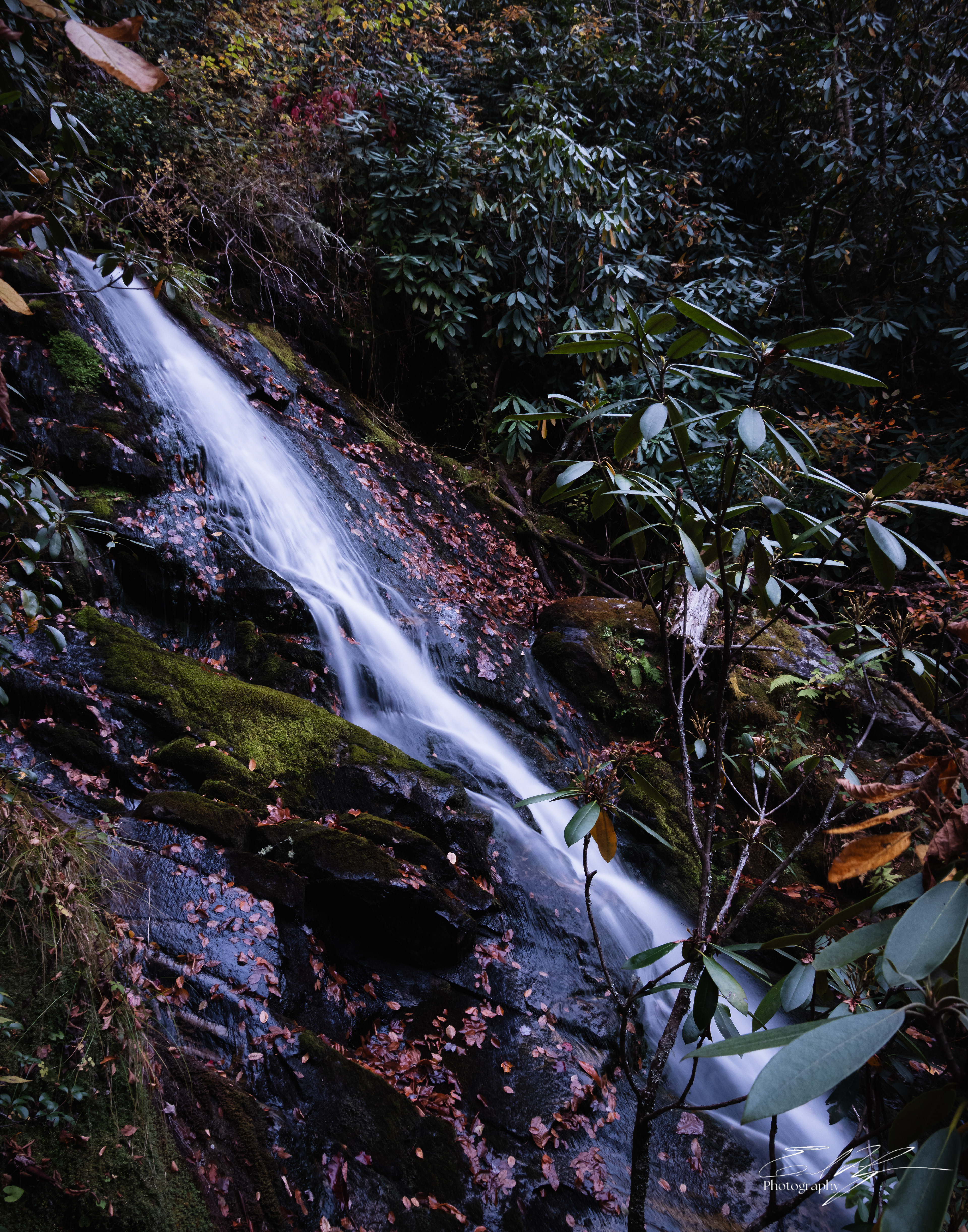 Day 7  Bartram Falls
