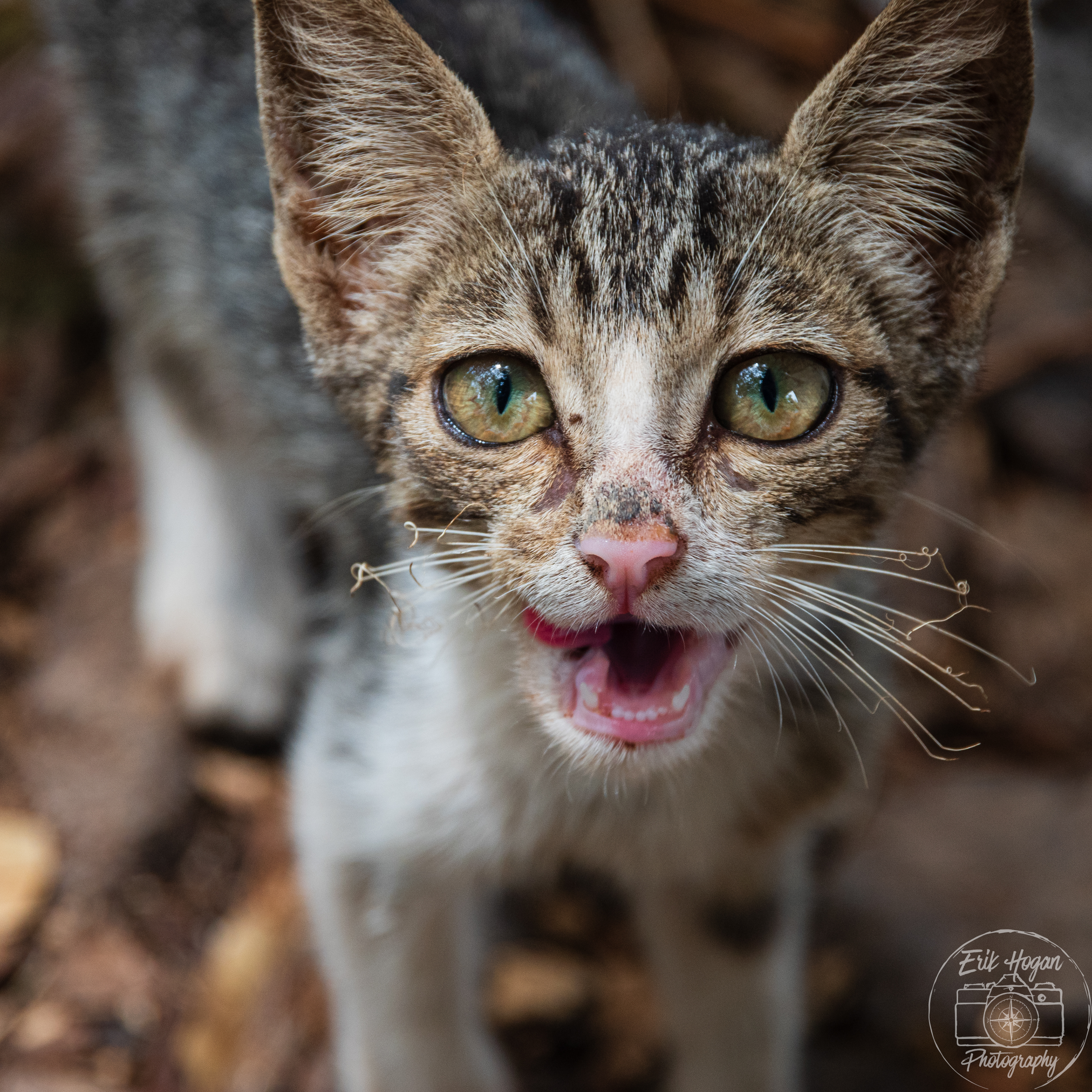 Nacaome, Honduras July 2024   XXXVI