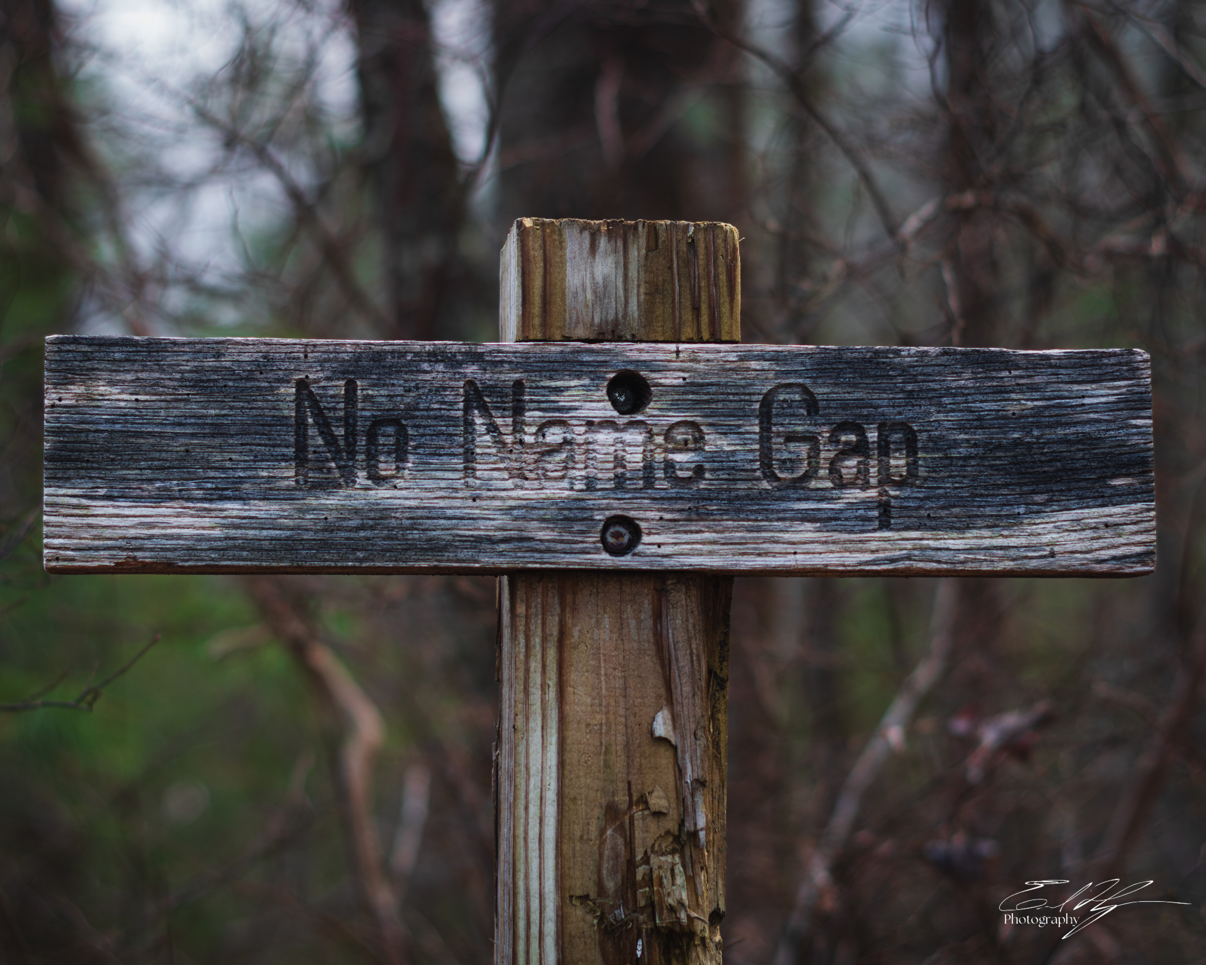 Benton MacKaye Trail 2025   II