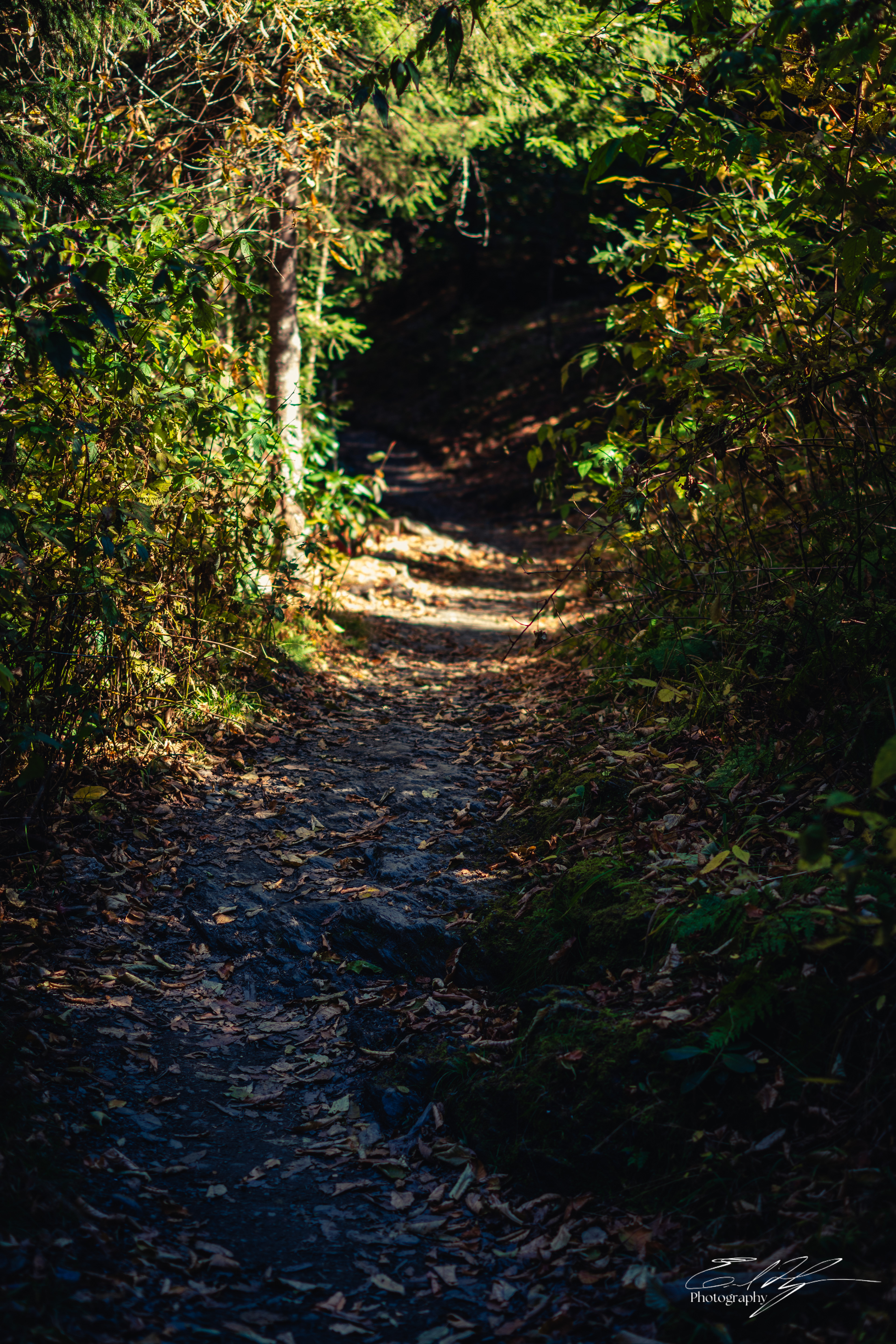 Alum Cave Trail October 2024   VIII