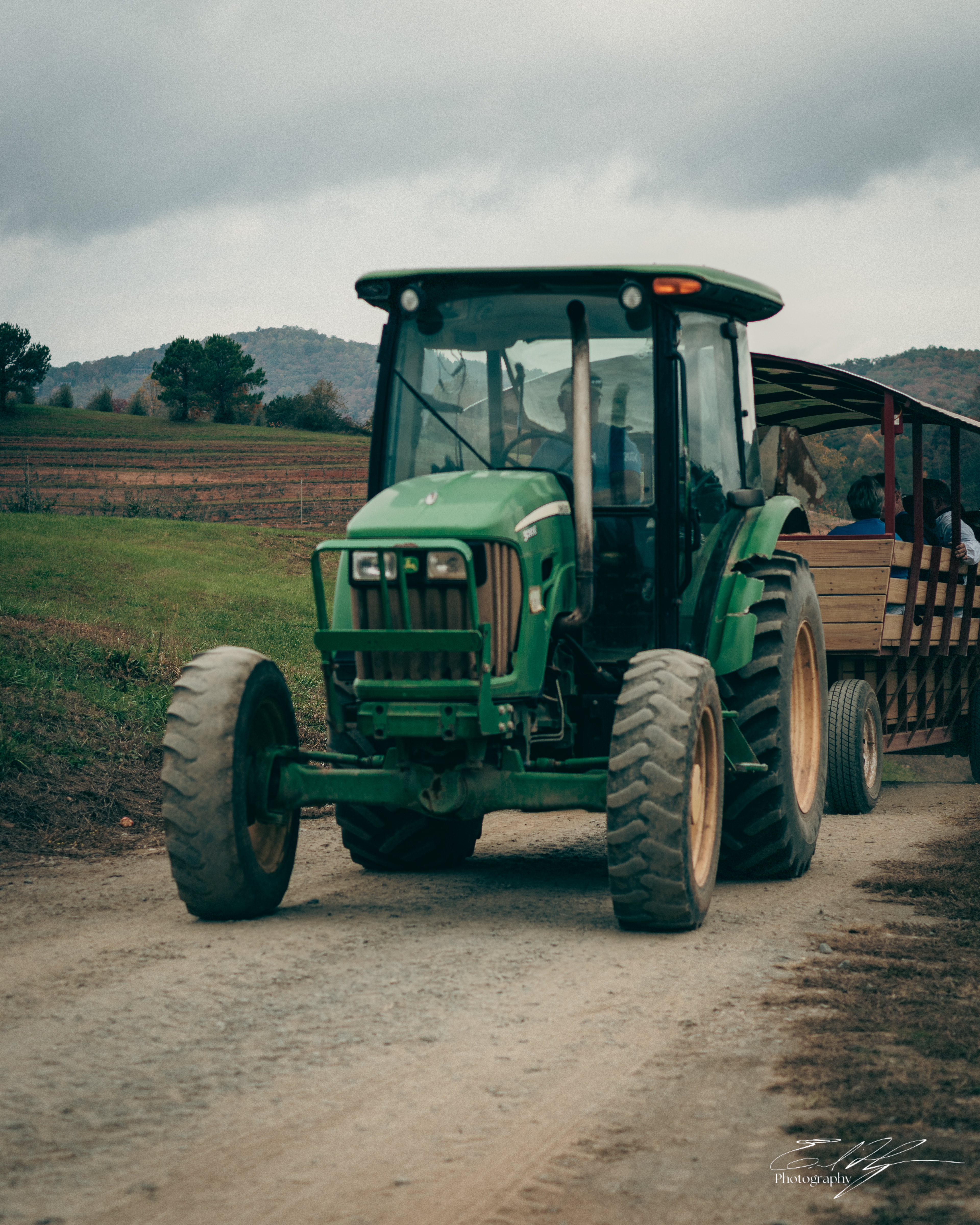 Ellijay Apple Orchard October 2024   II