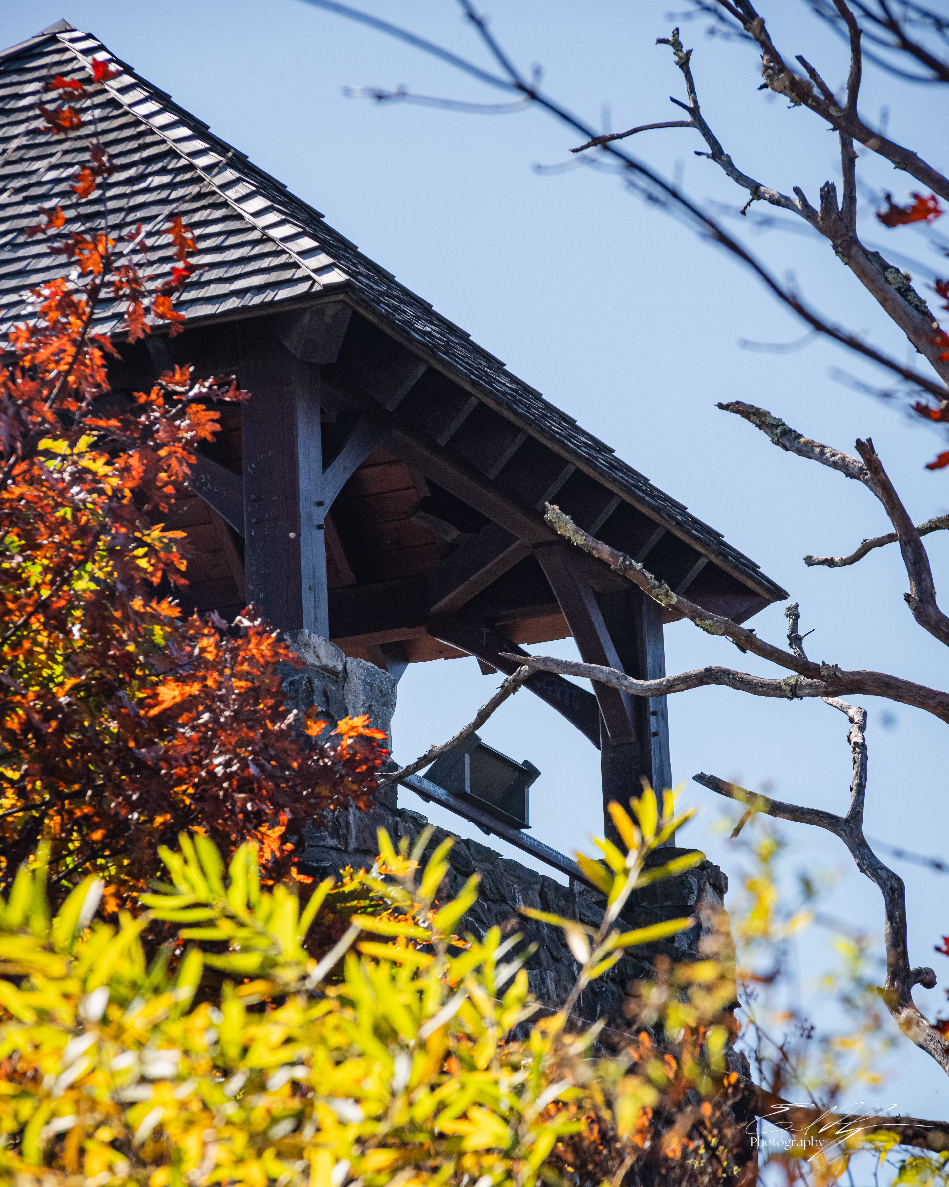 Day 5  Wayah Bald II