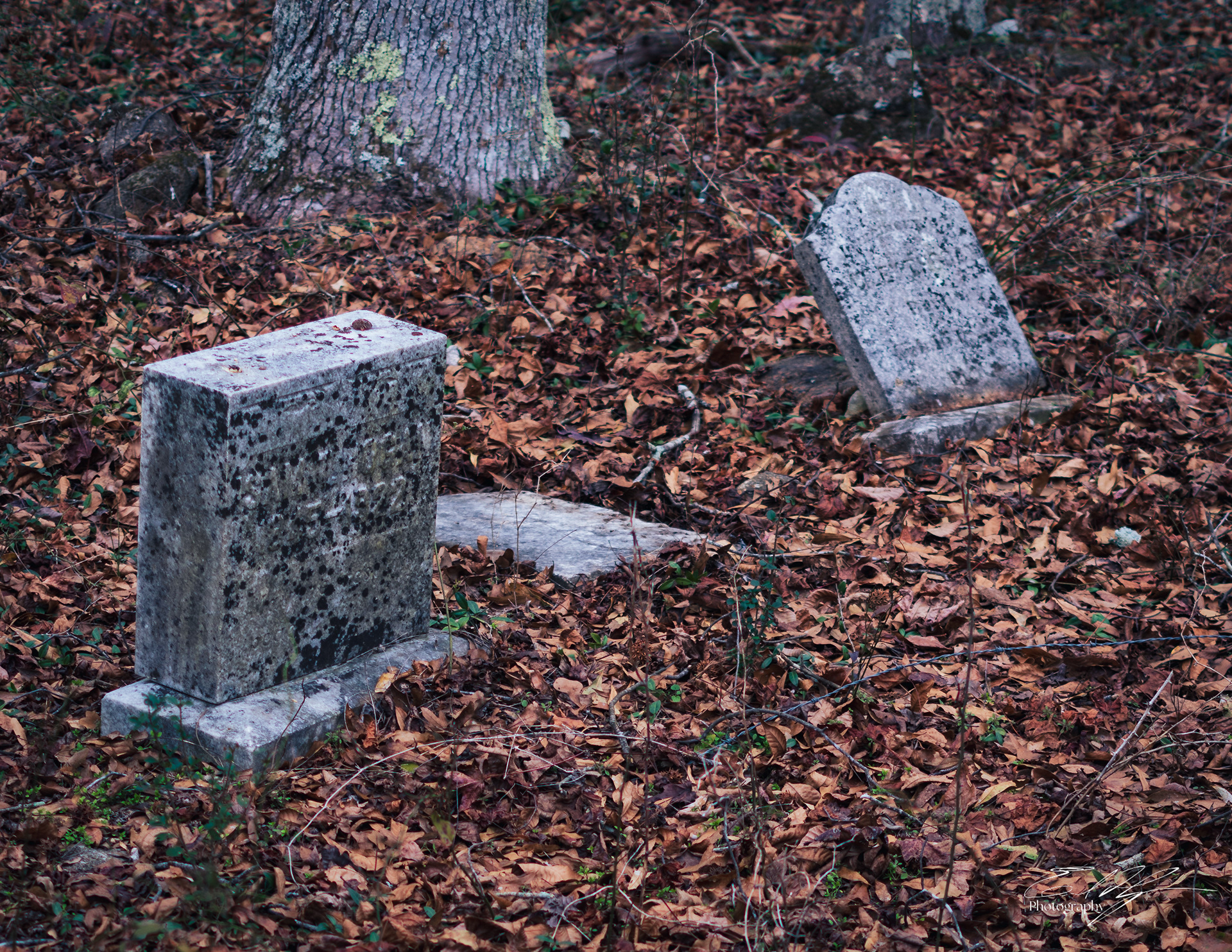 Walton County December 2024   II