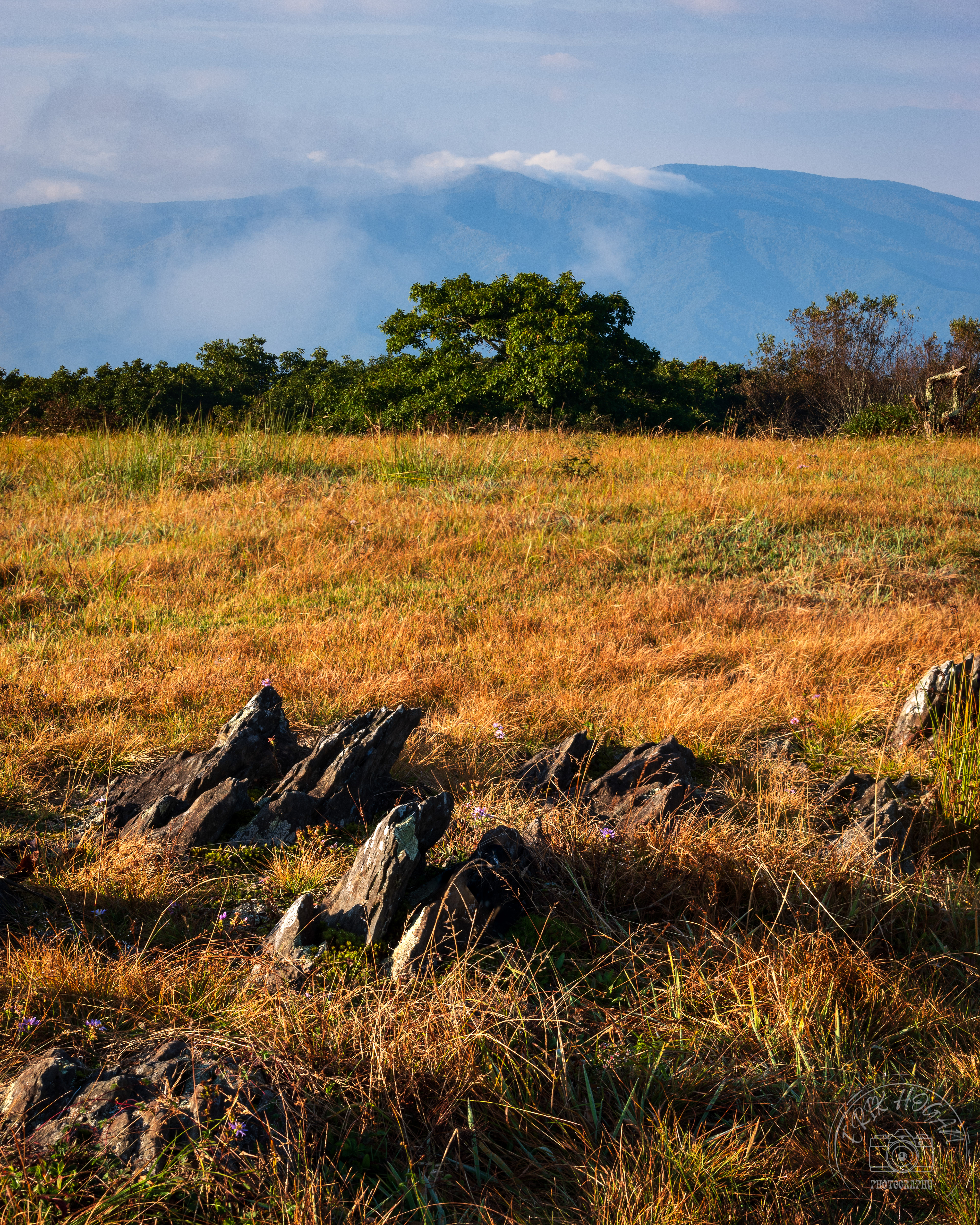 Gregory Bald September 2023   XII