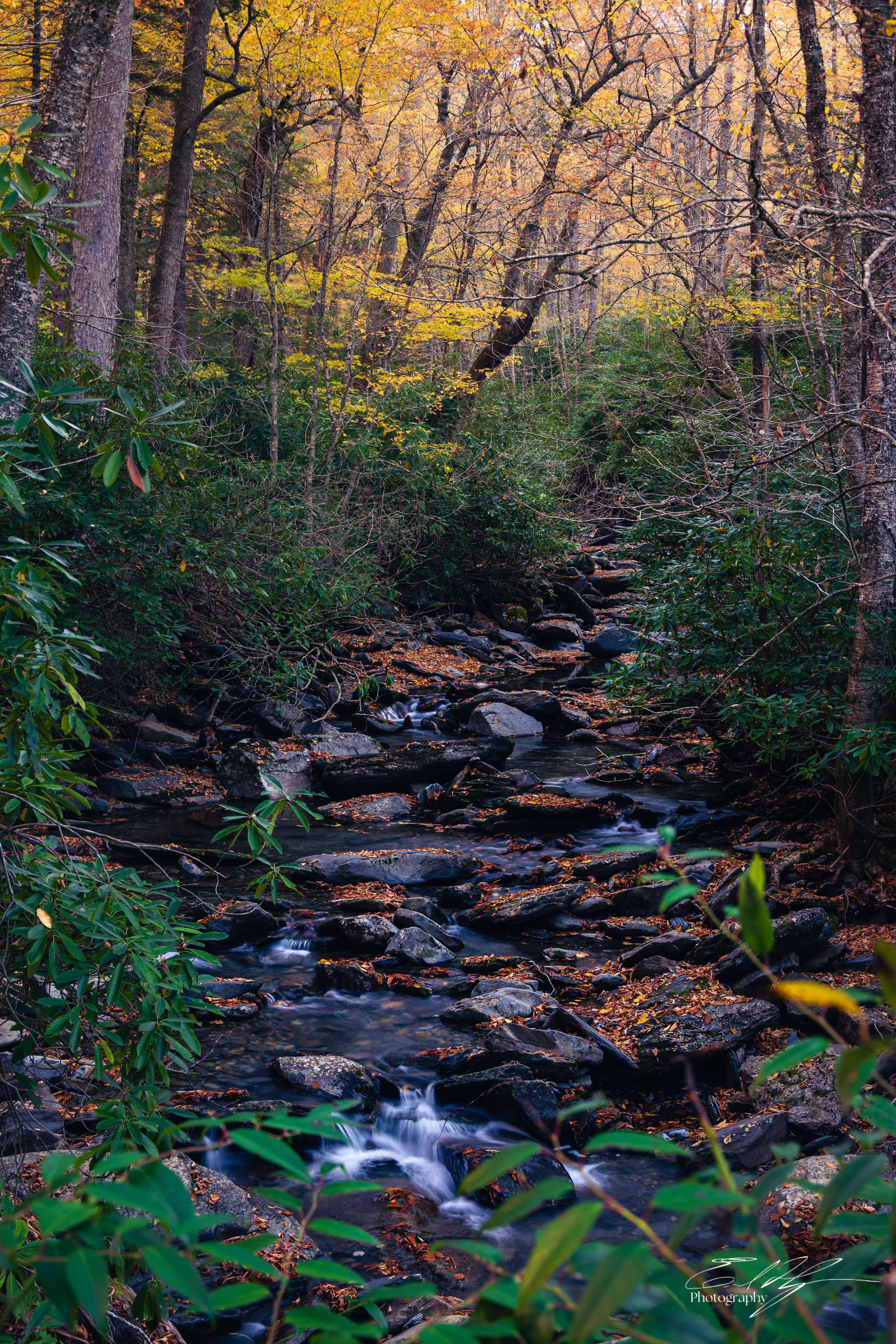 Alum Cave Trail October 2024   III