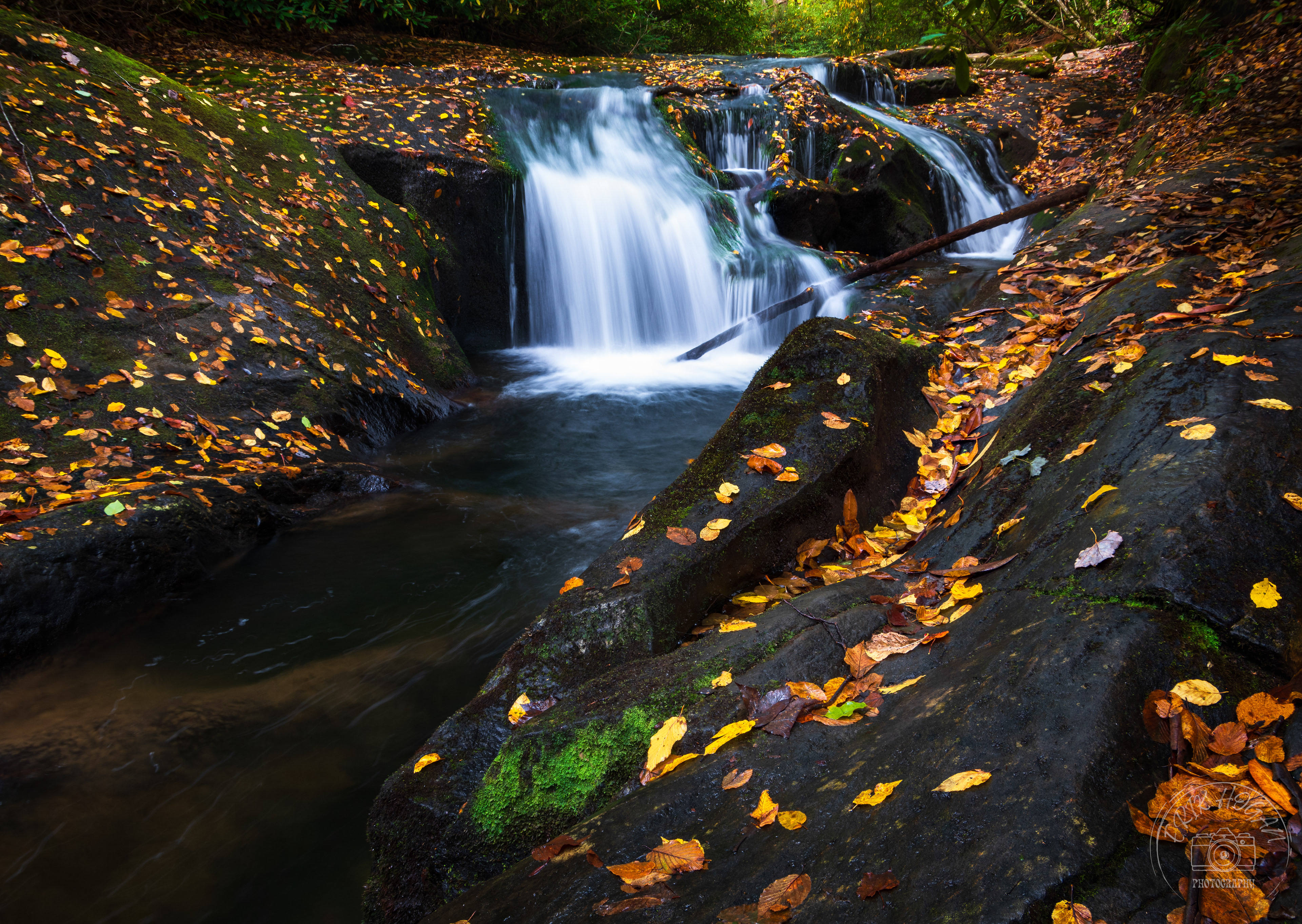 Moccasin Creek October 2023   VI
