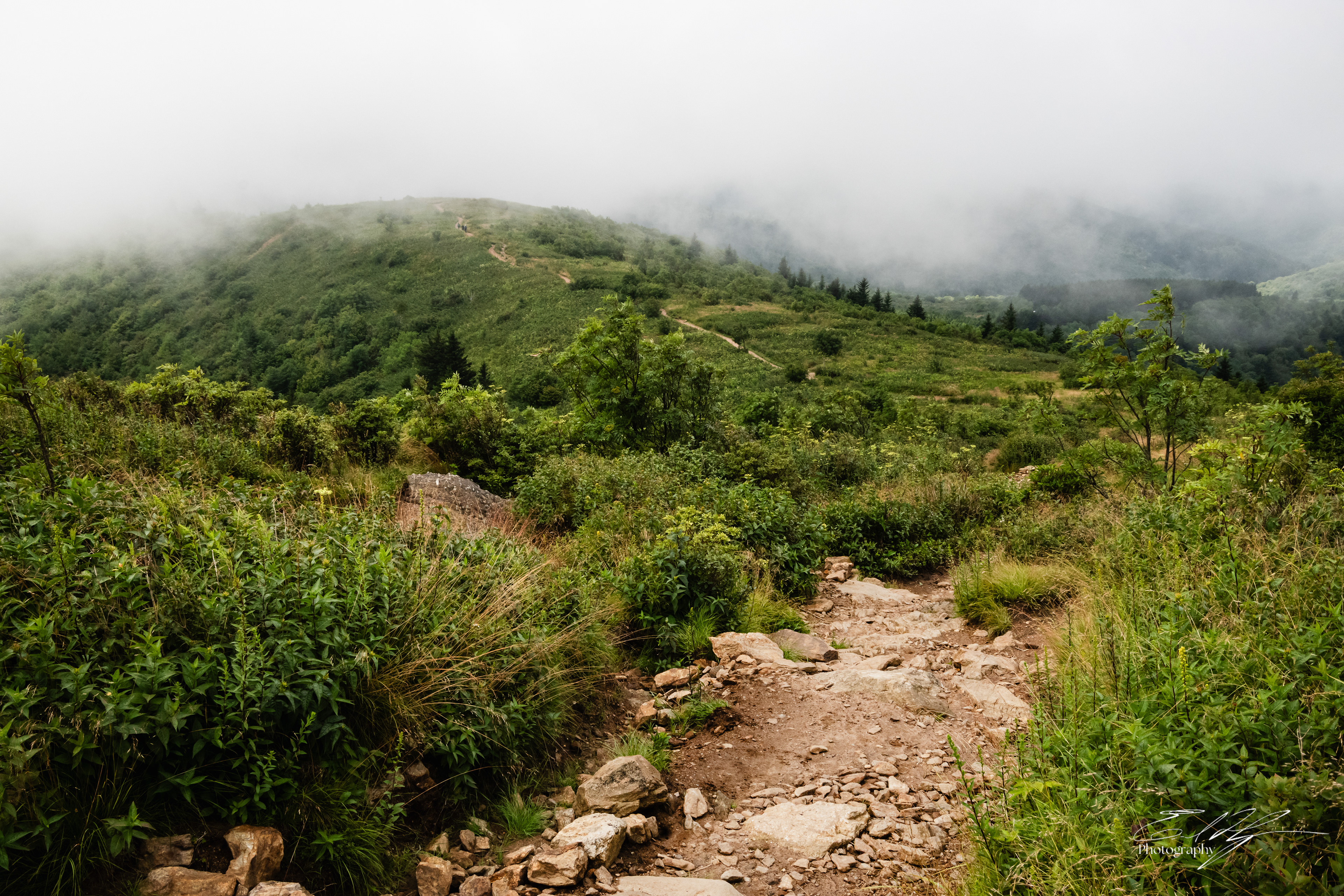 Black Balsam August 2025 VII