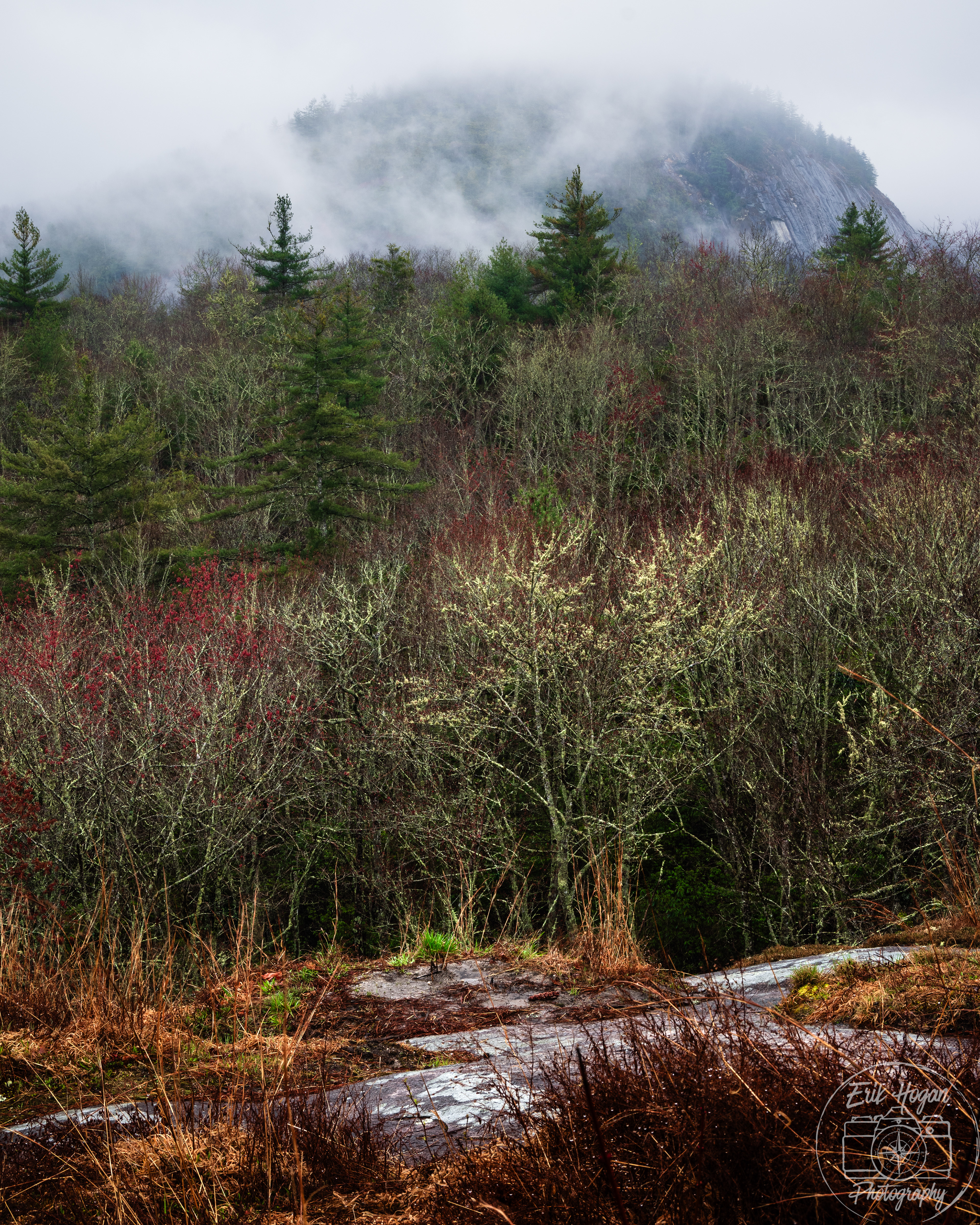 Panthertown Valley April 2024   XI