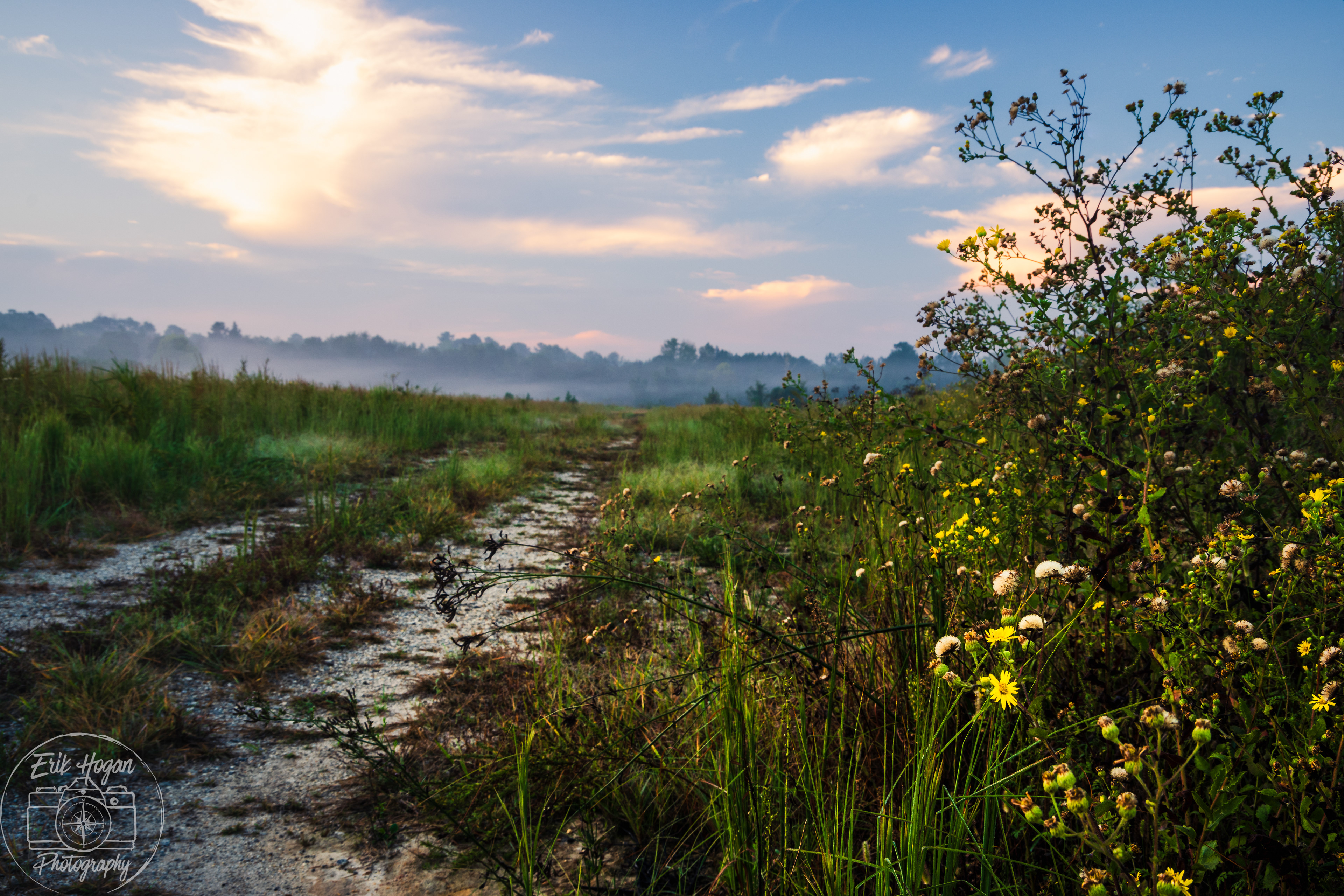 Boley Dr October 2024   III