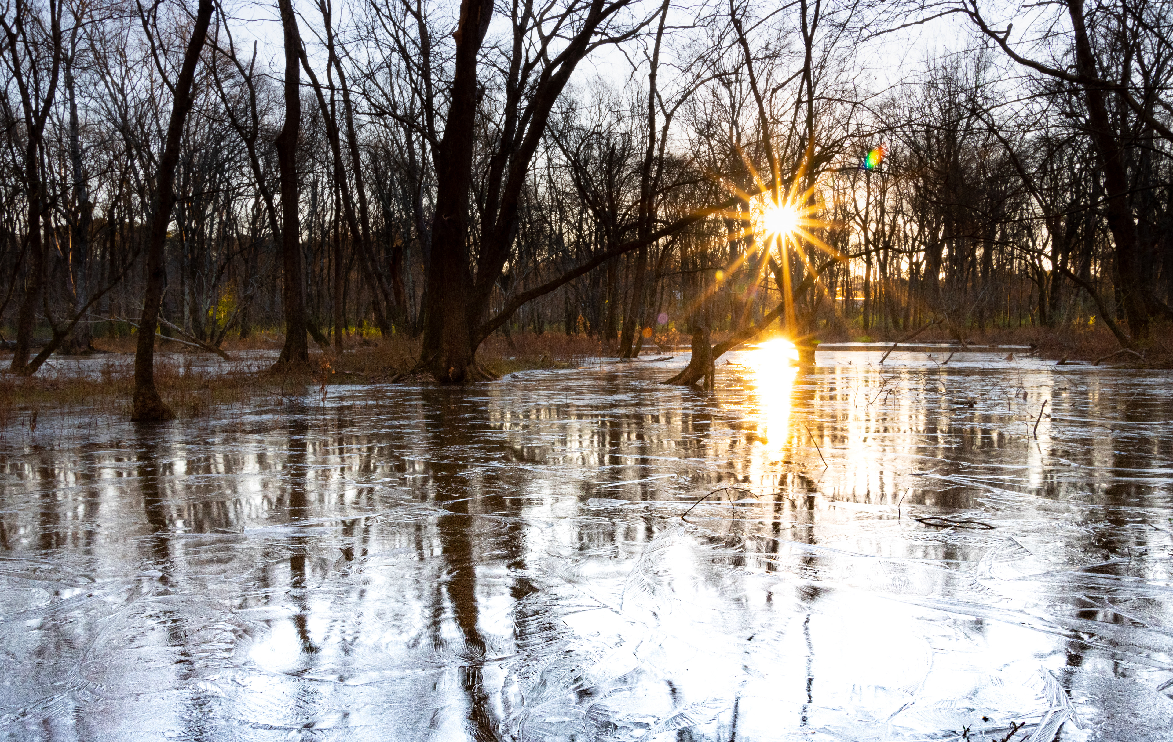 Sandy Creek Natue Center December 2020