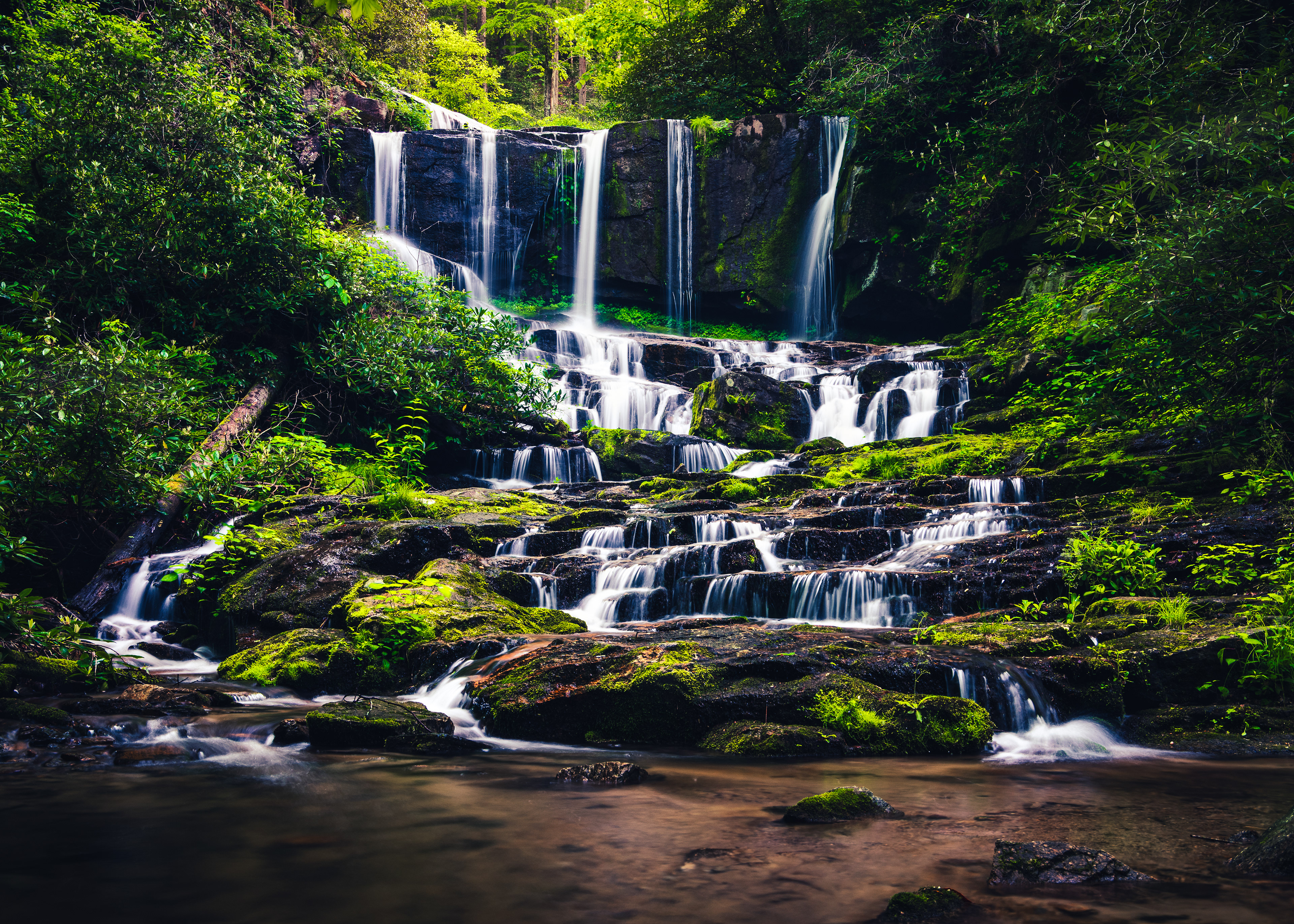 Virginia Hawkins Falls May 2024