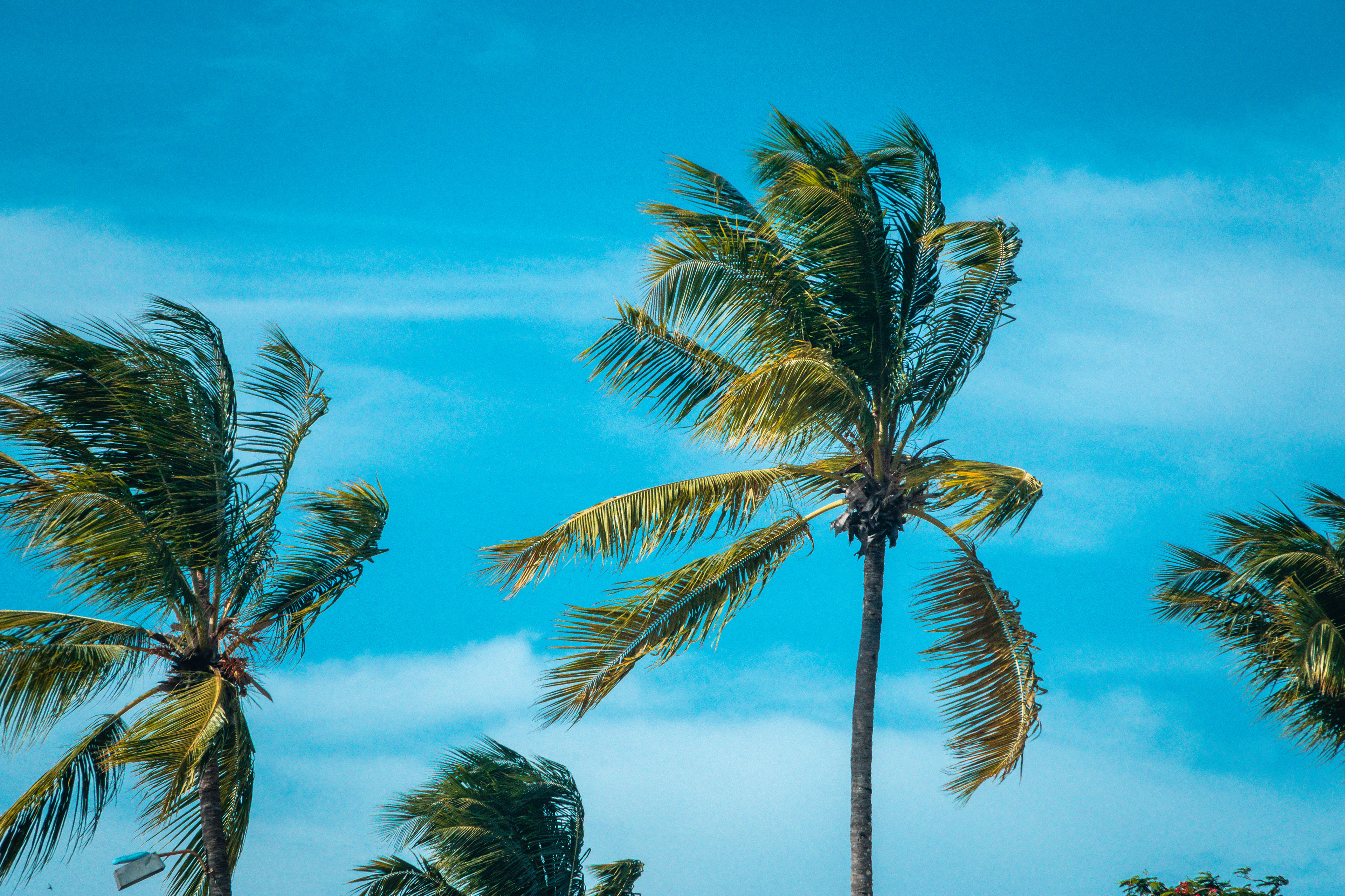 Sosua Beach July 2021   VIII